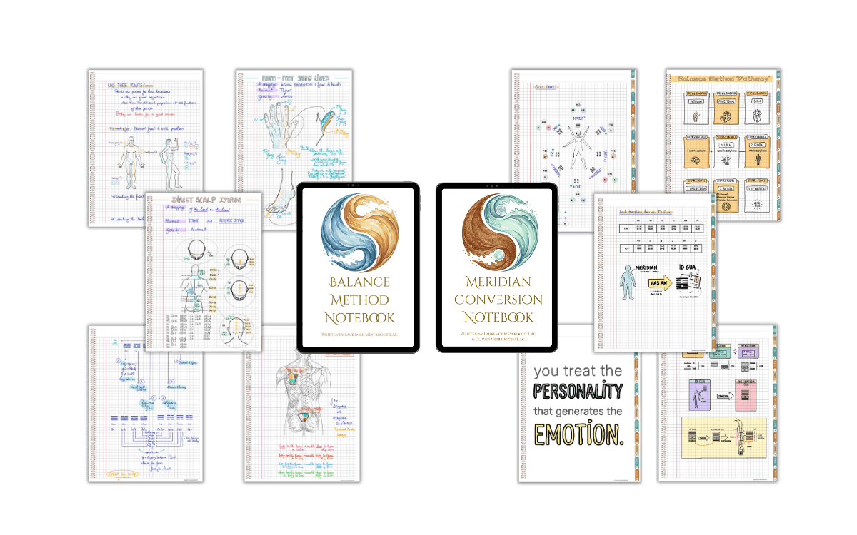Collection of notes, diagrams, and illustrations related to balance and meridian methods, including charts on foot zones, acupuncture points, and personality-emotion linkage, centered around two notebooks titled 'Balance Method Notebook' and 'Meridian Conversion Notebook.'
