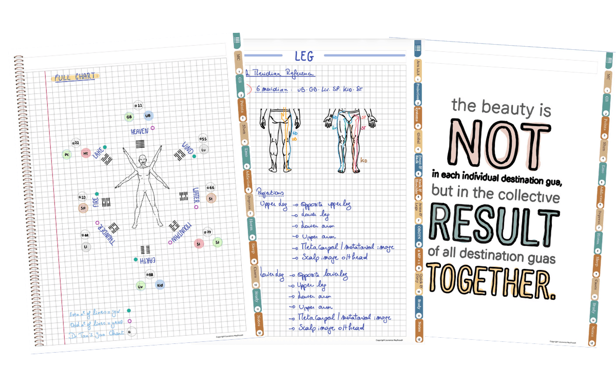 Notebook pages showing diagrams, notes about a human body with labeled body parts, a quote about beauty and collective results, and a chart illustrating the body with colored markings.