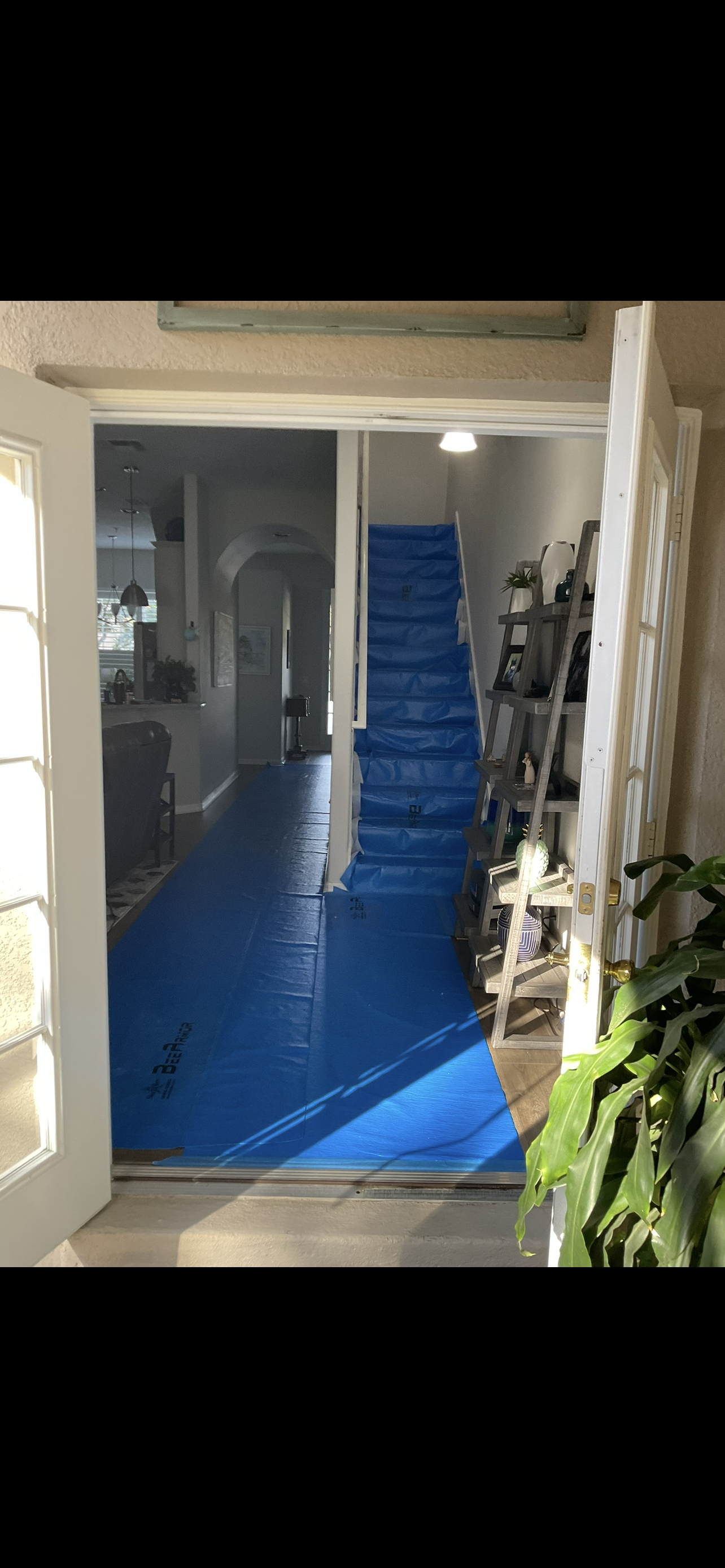 Interior view of a house with a blue plastic stair covering and a blue walkway mat, leading to a staircase, with shelves on the right and a corridor ahead.