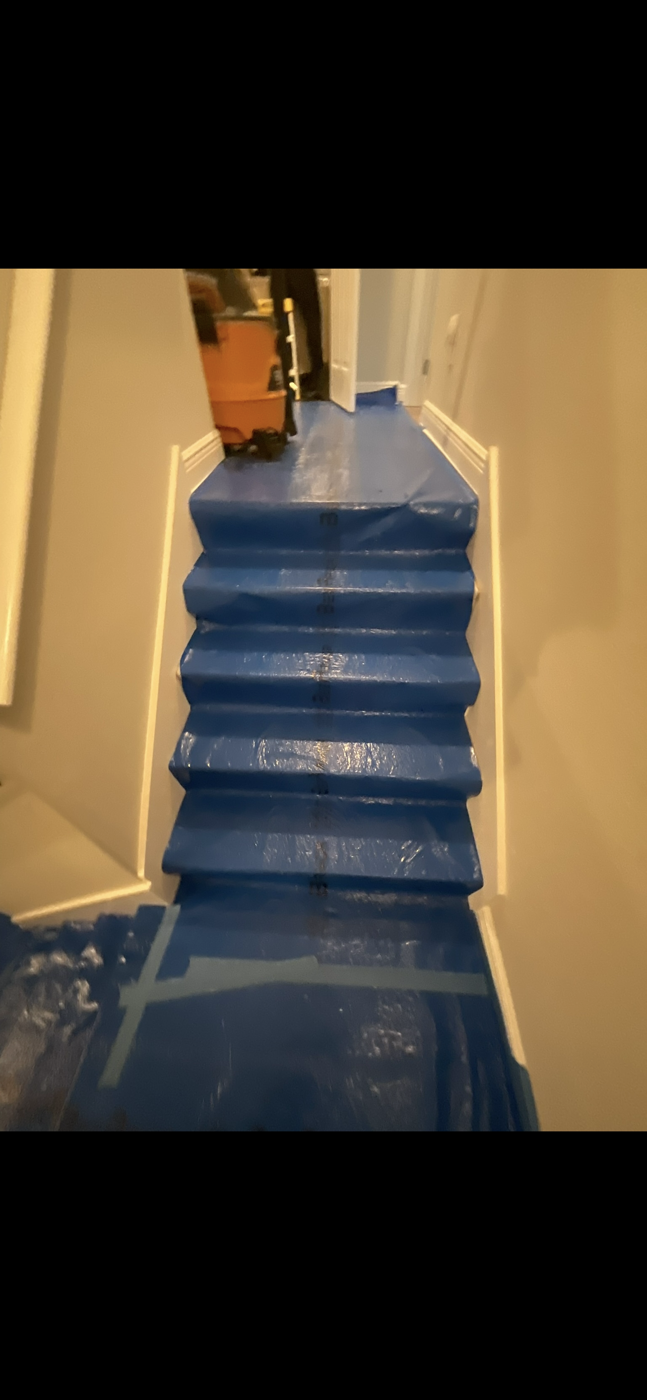 Indoor staircase covered in blue plastic sheeting.