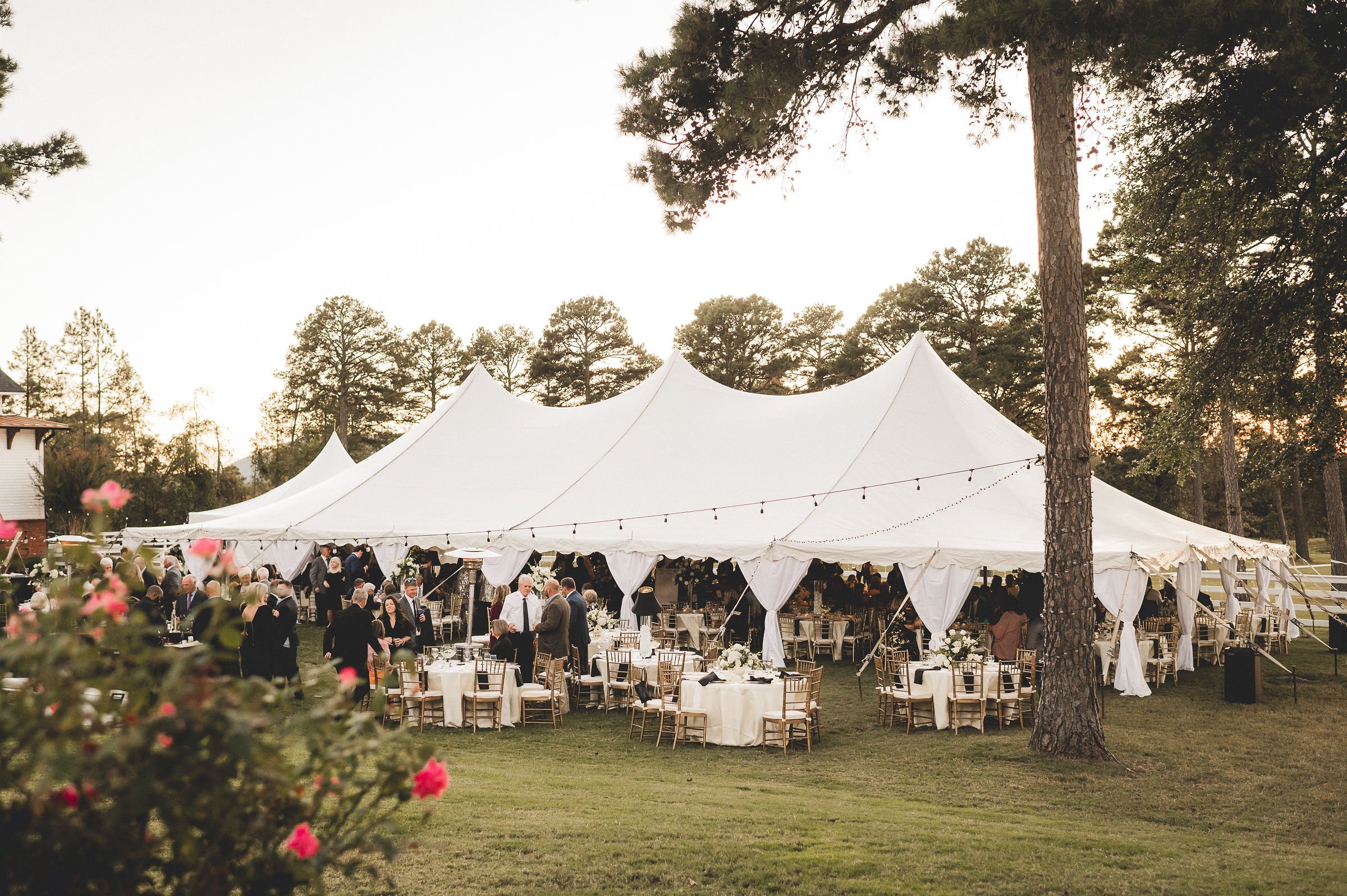 A large outdoor wedding reception under a white tent with guests mingling, round tables with white tablecloths, surrounded by trees at sunset.