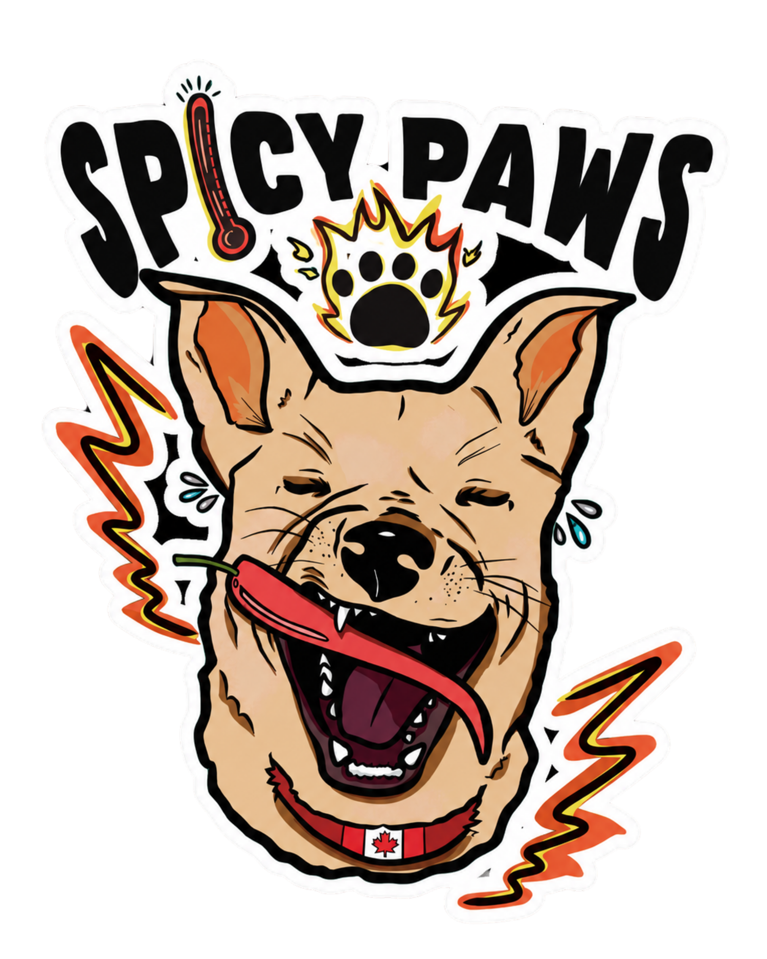 Spicy Paws Pet Services