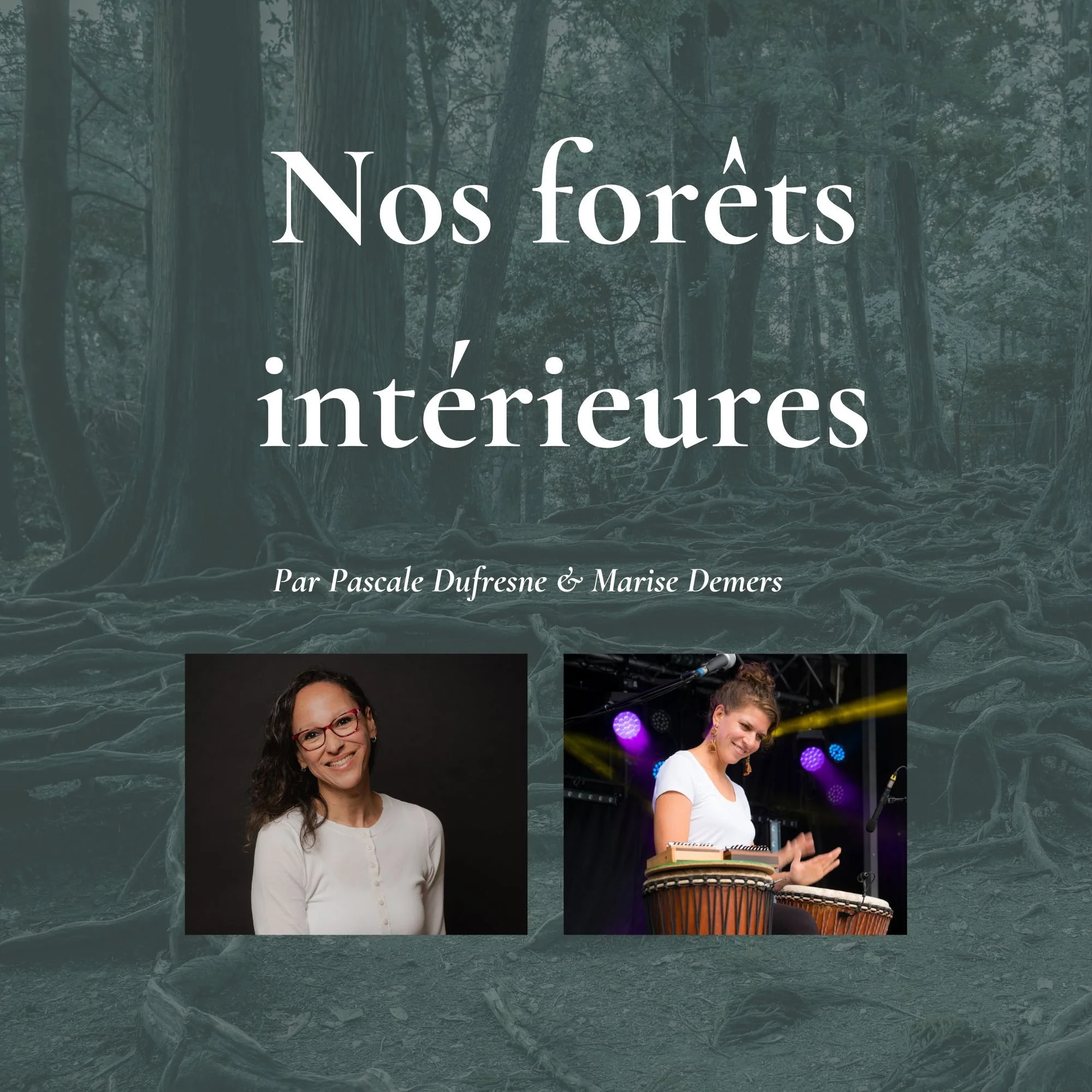Nos forêts intérieures-miniature.jpg