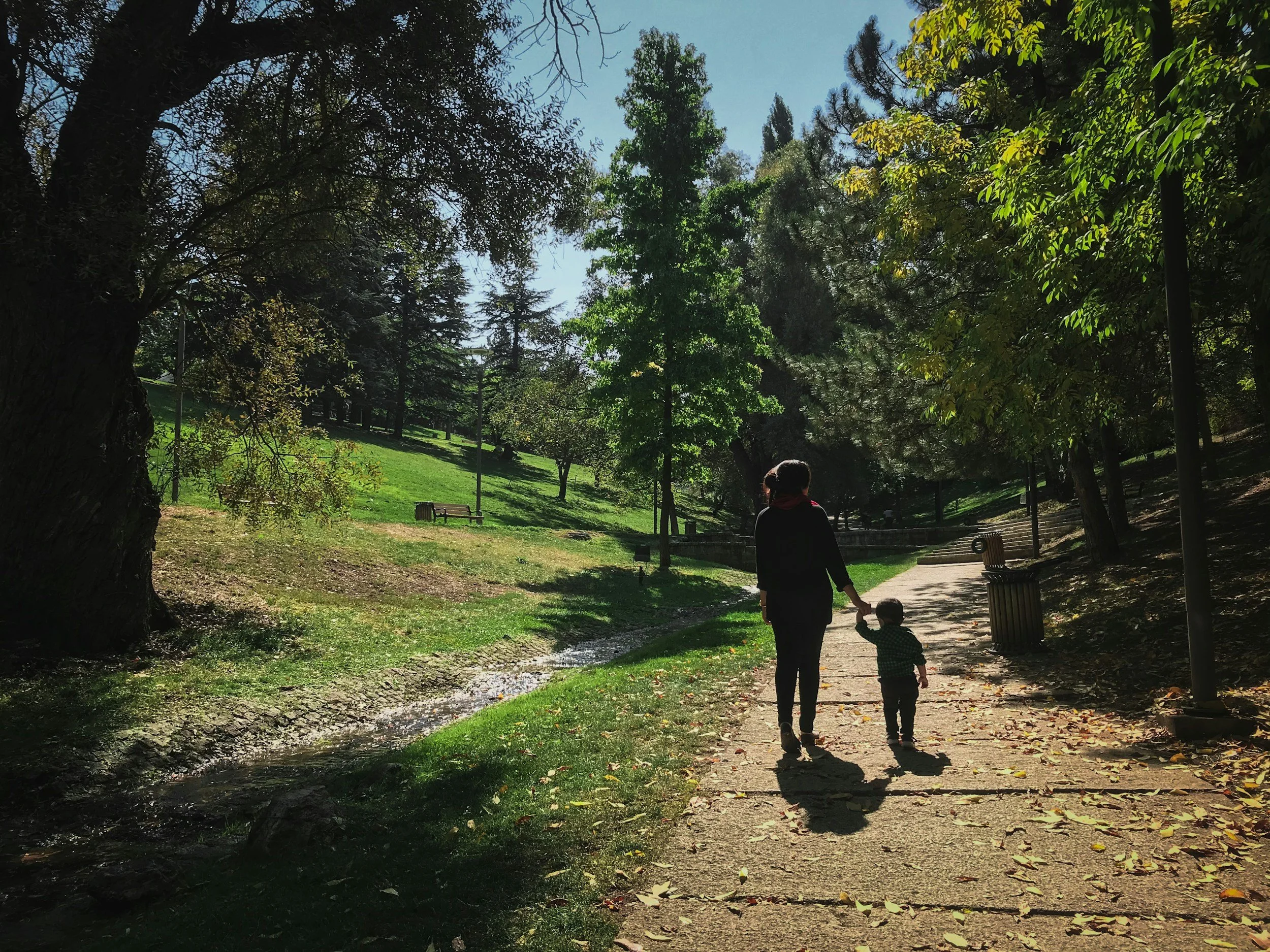 A person and a child walk along a shaded park path surrounded by tall trees and green grass, with benches and a small stream running beside the path.