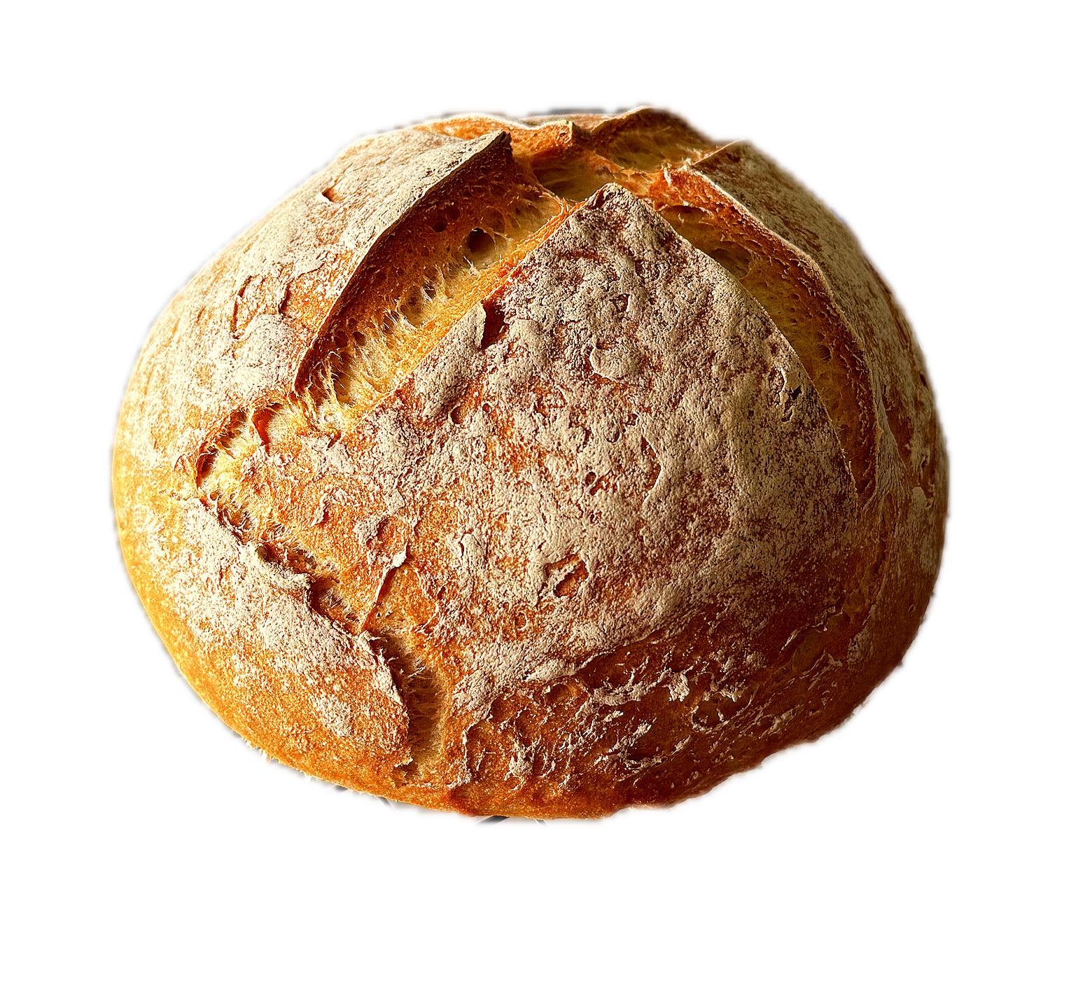 Gluten-Free Sourdough