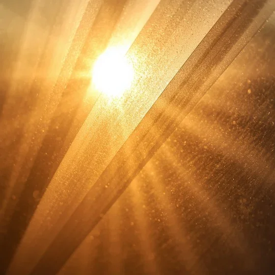 golden-light-rays-stockcake.jpg.webp