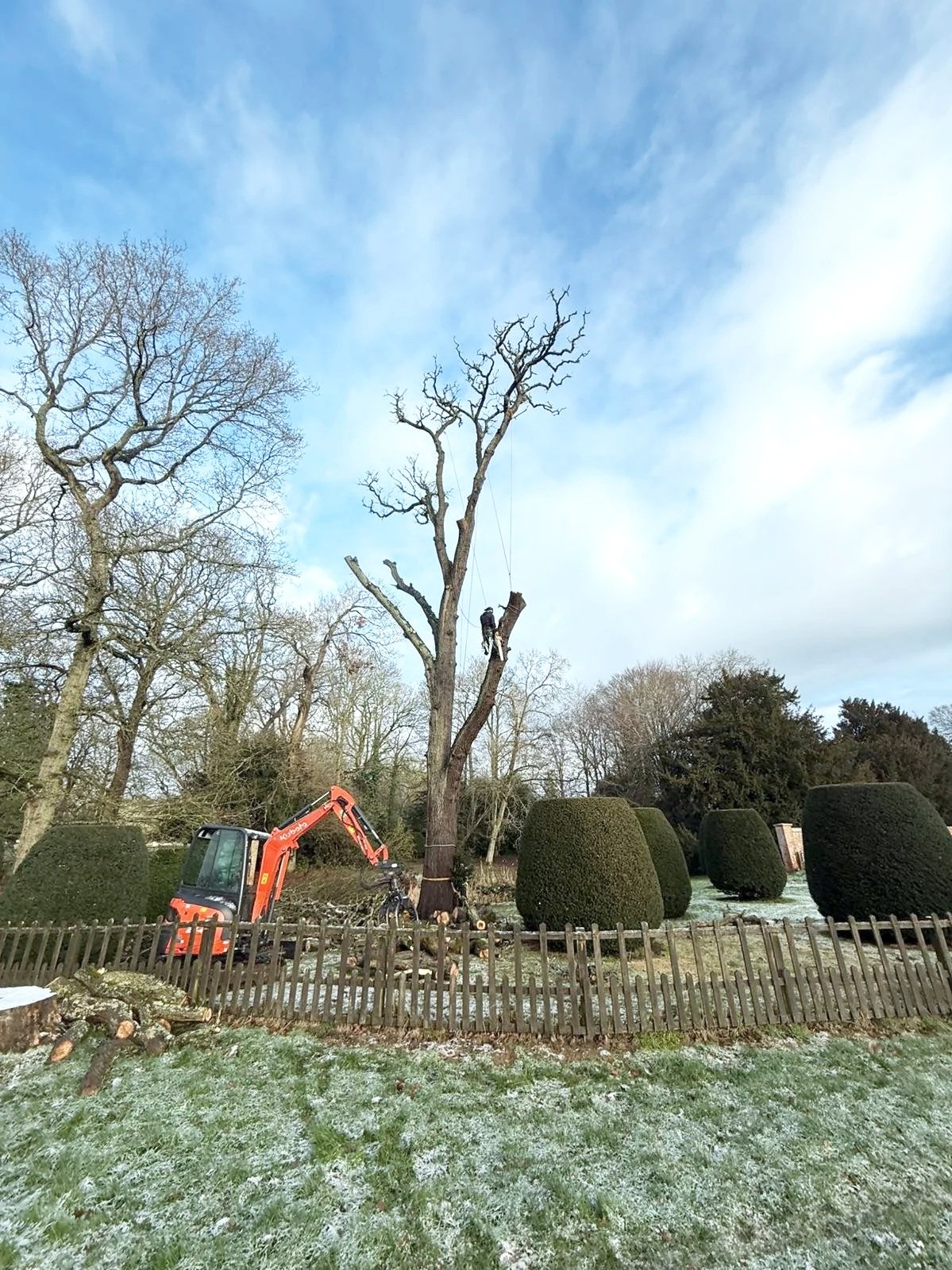 Specialist tree surgery and arboricultural operations removing large trees in very small spaces with the use of specialist rigging techniques. Carefully extracting timber with a multitude of mobile plant.