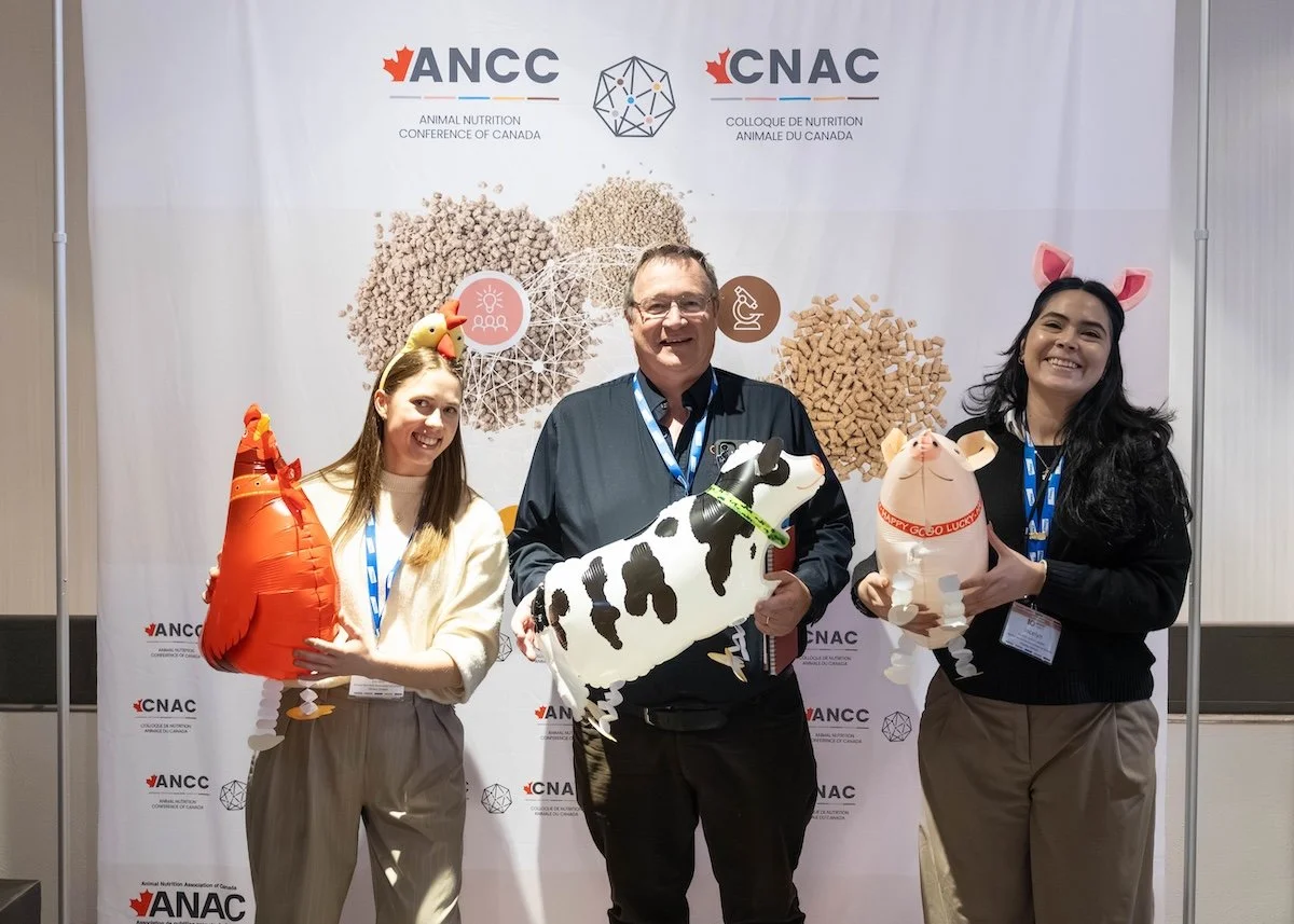 ancc 26 9.jpg