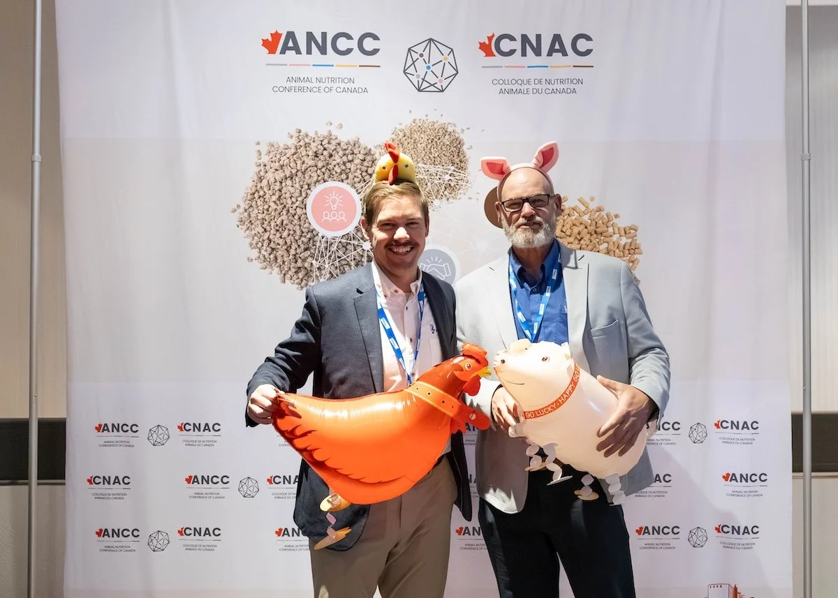 ancc 26 8.jpg