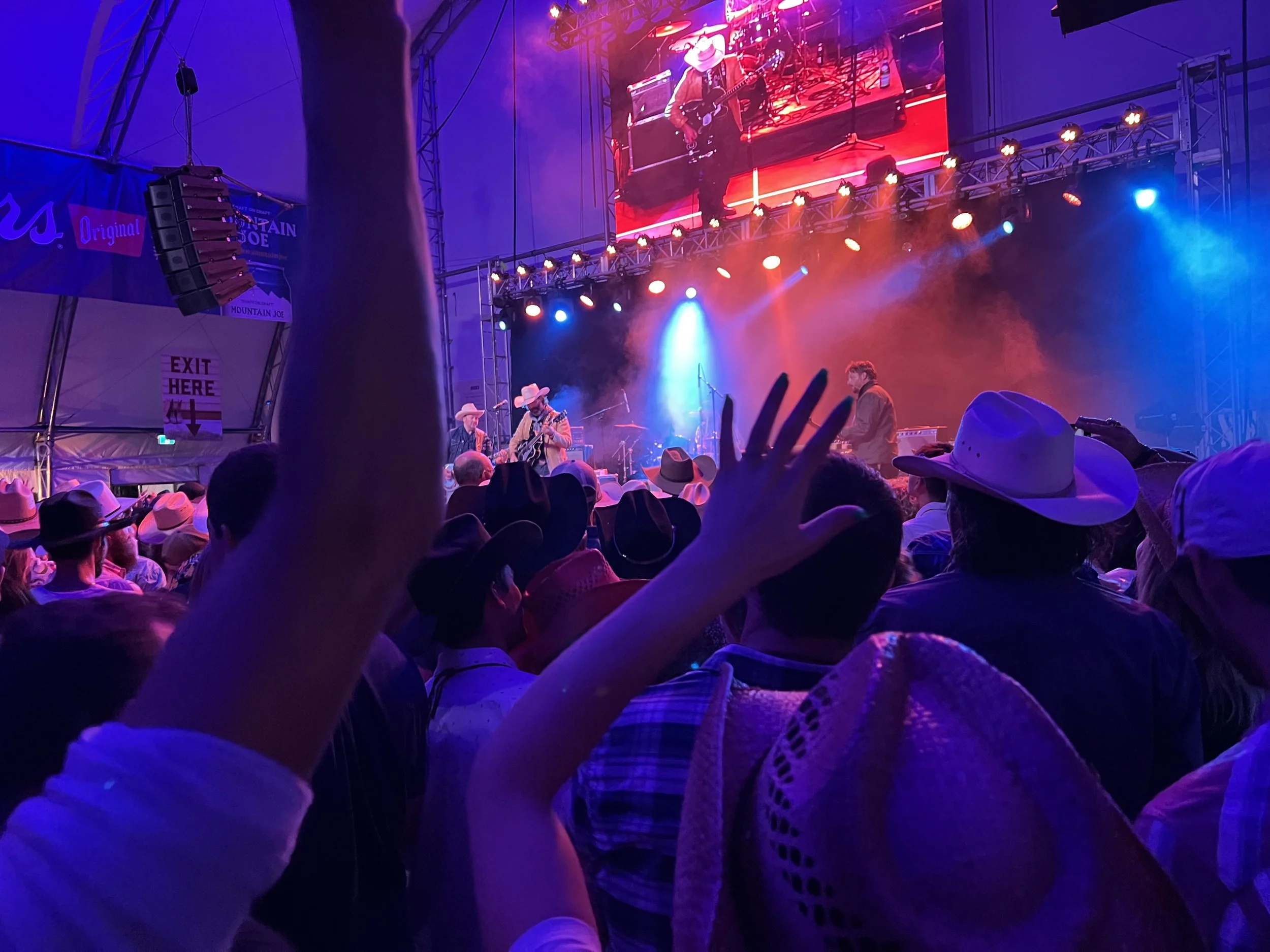 wildhorse copy.jpg