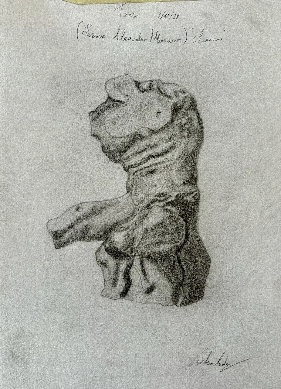 STUDIO TORSO DEL BELVEDERE,
[Grafite su carta
03/11/2023]