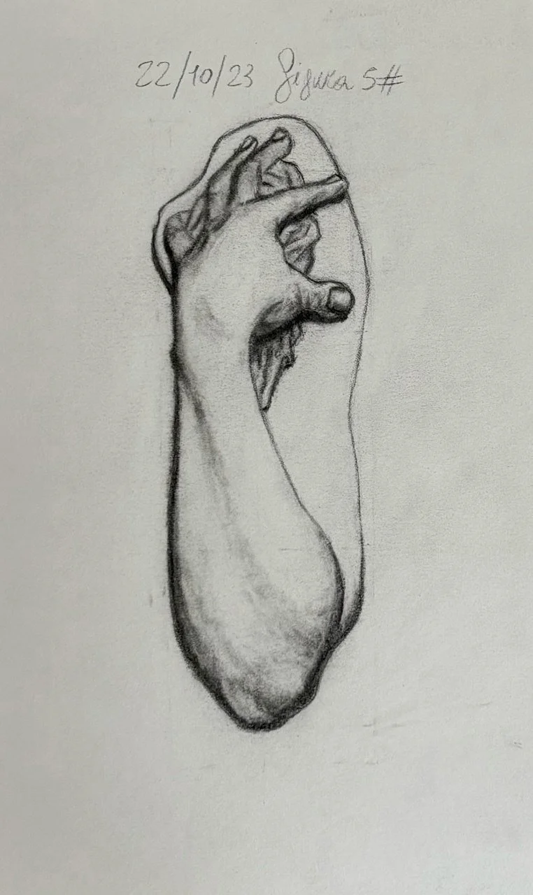 STUDIO DI BRACCIA E MANO CON PANNEGGIO,
[Grafite su carta
22/10/2023]