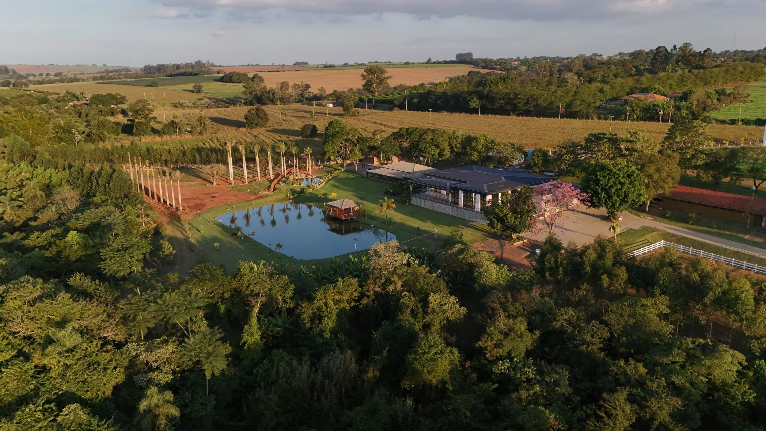 DJI_20260602165135_0305_D.jpg