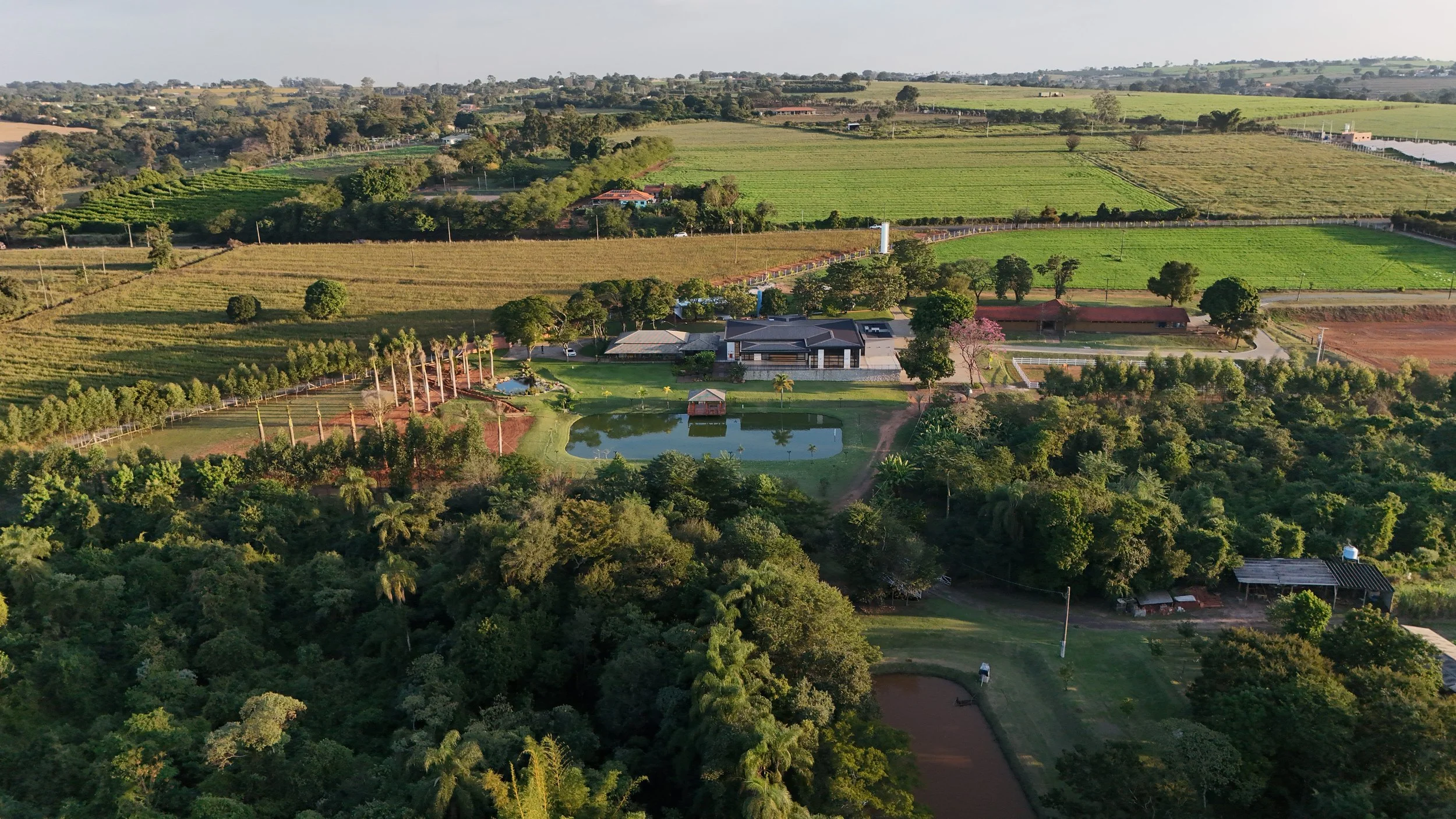 DJI_20260602165051_0303_D.jpg