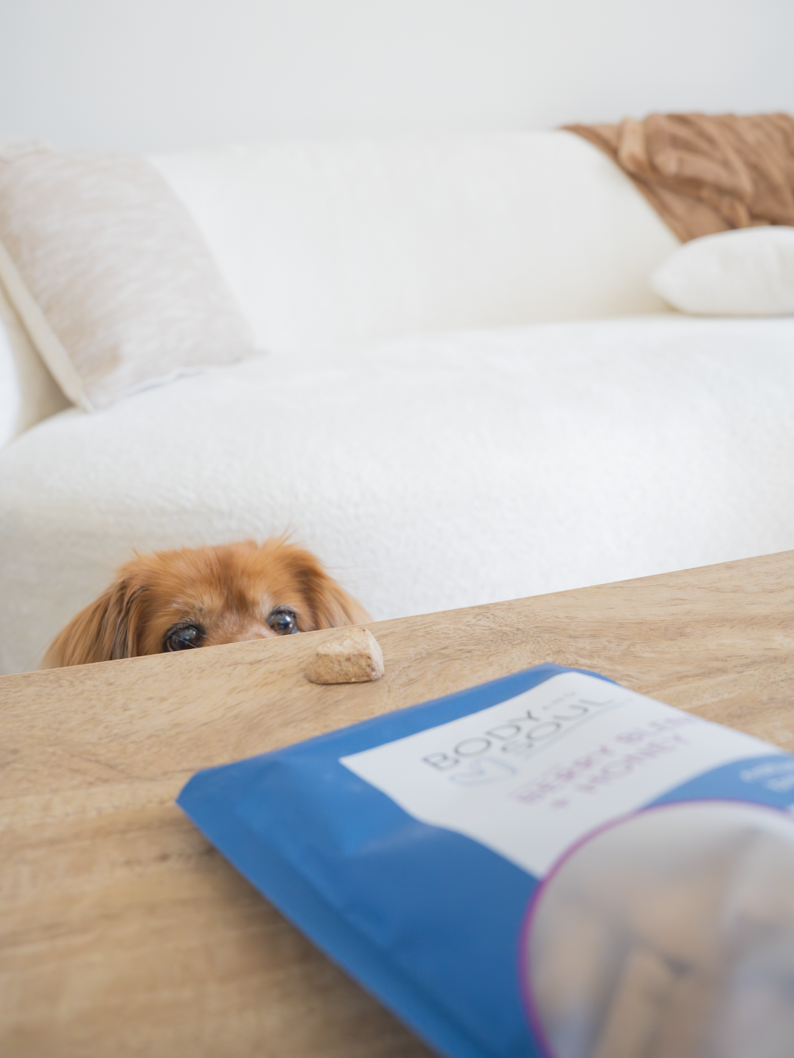 A small brown dog peeking over a wooden table, looking at a bag of popcorn with a rock on top of it. A beige and white couch with brown and white pillows is in the background.