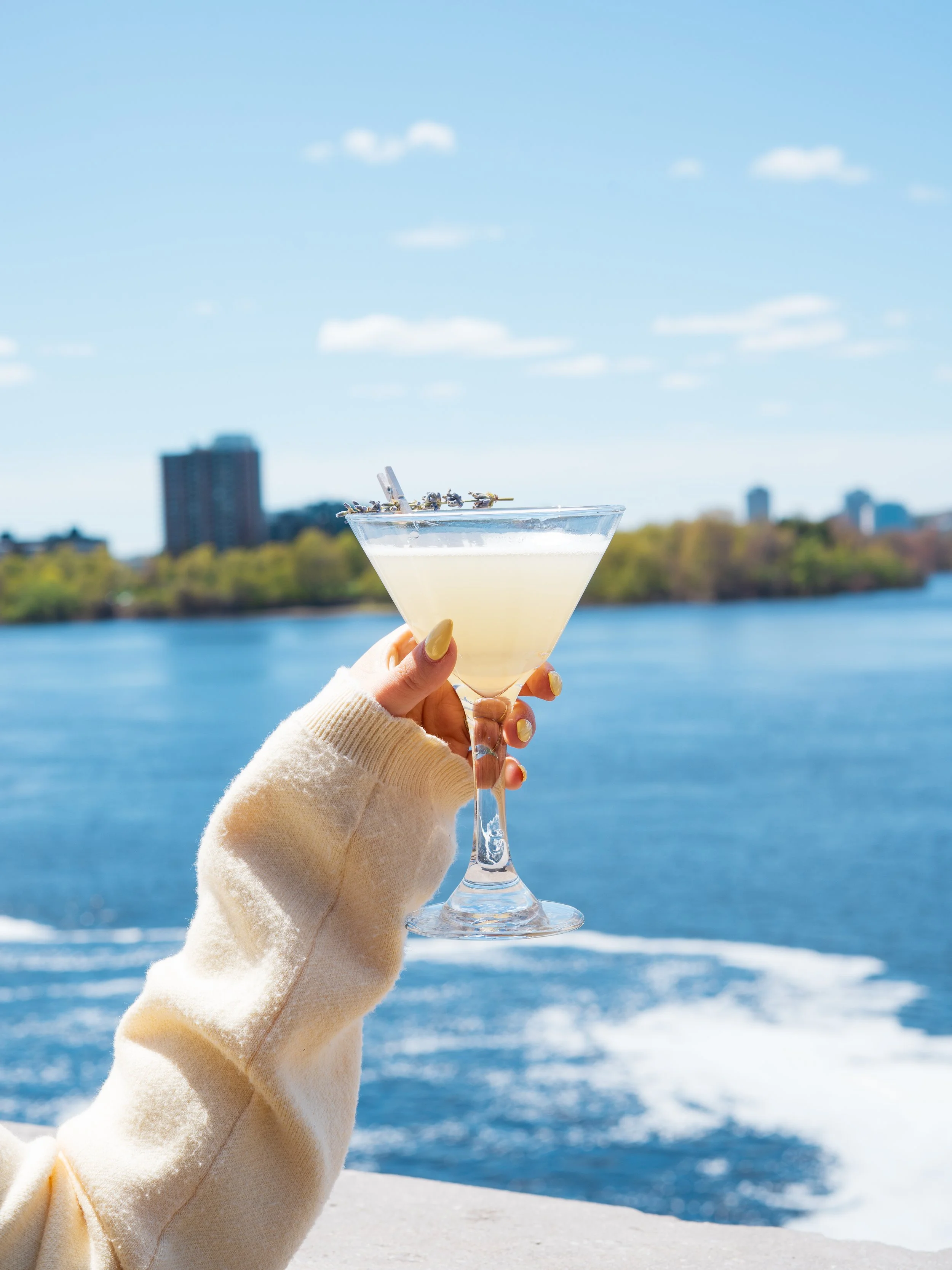 A person holding a cocktail glass with a lavender sprig garnish outdoors near water and cityscape in the background on a sunny day.
