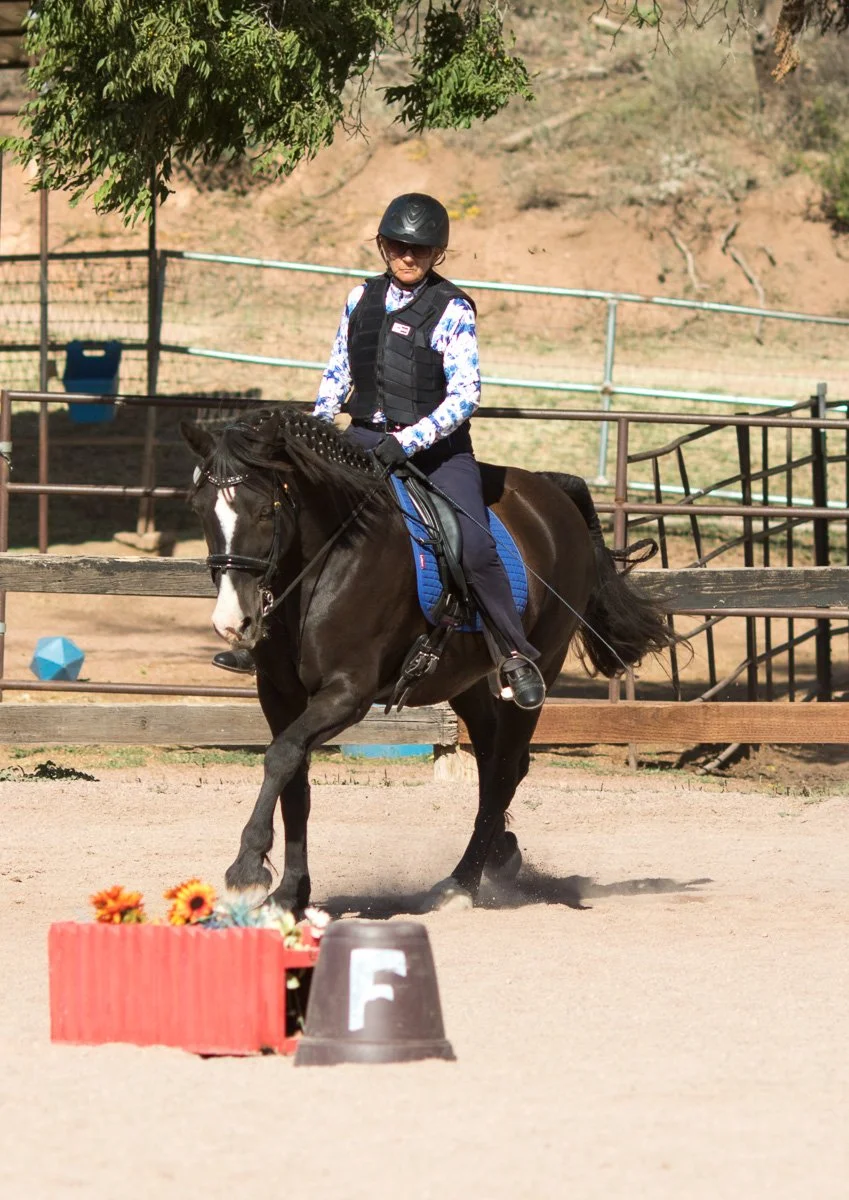Working Equitation Clinic - All Day
