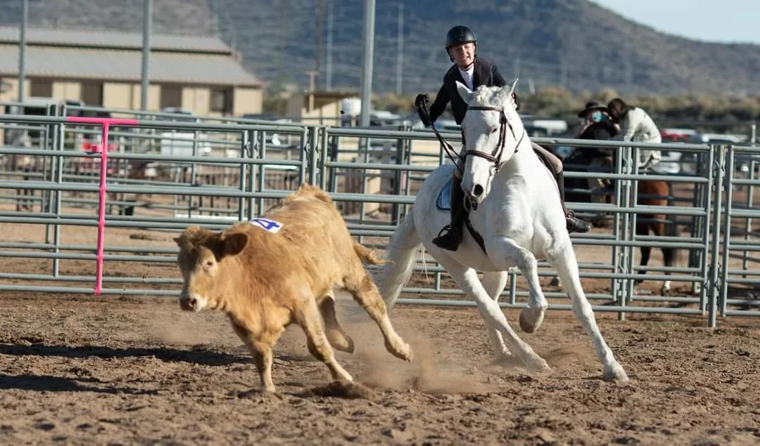 Working Equitation Cattle Clinic &amp; Trial
