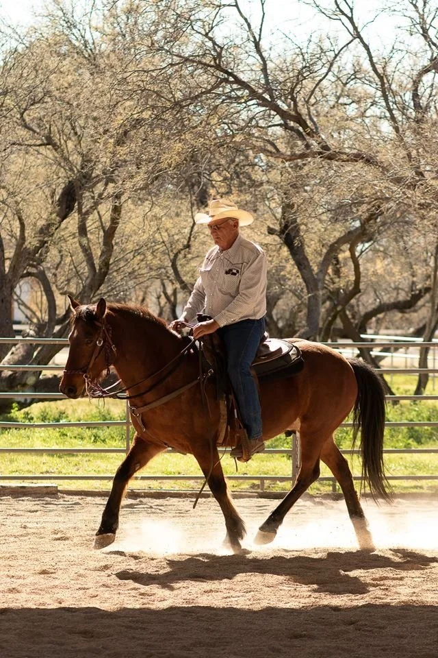 Working Equitation Ride a Test
