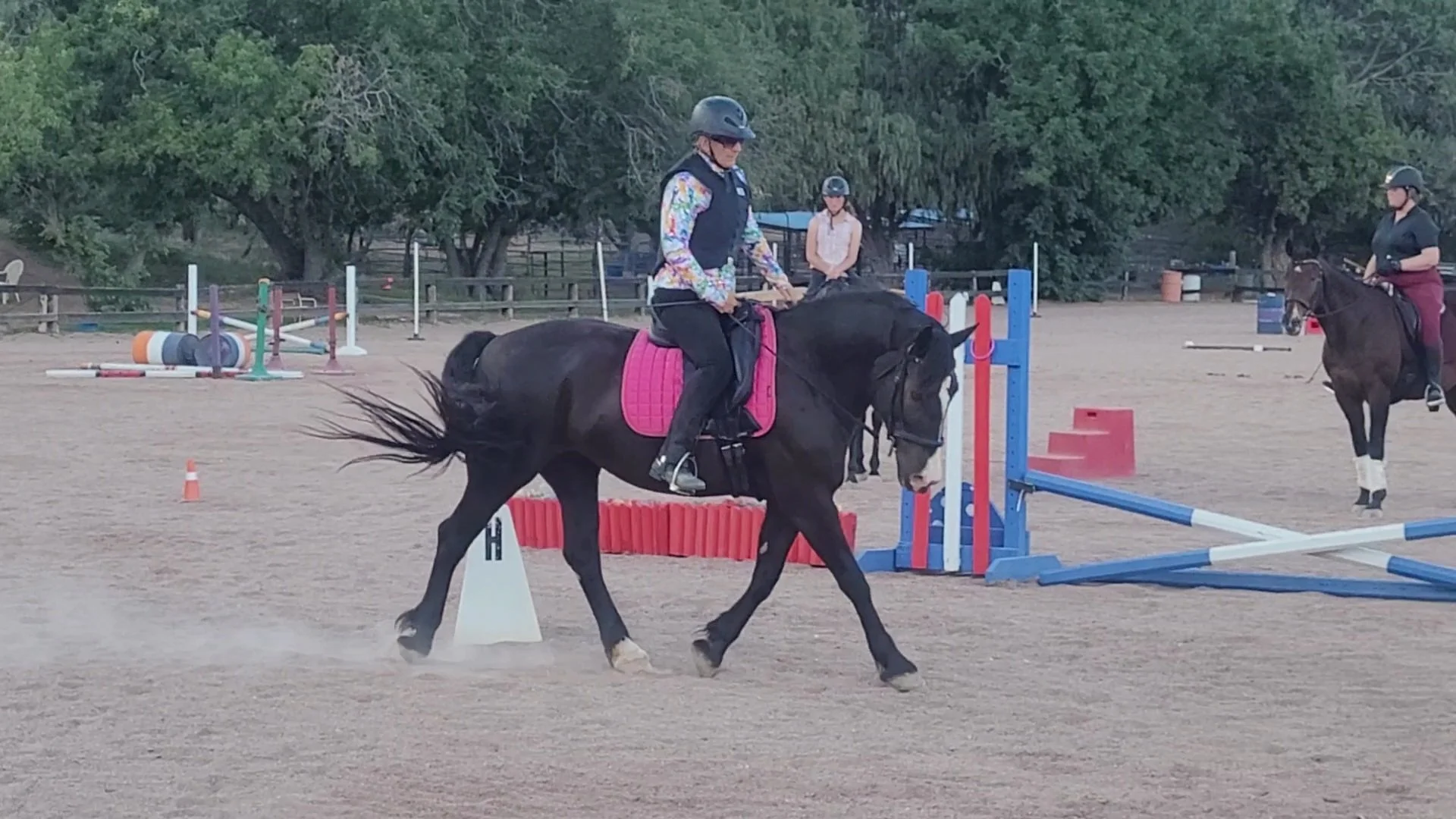Working Equitation Ride a Test
