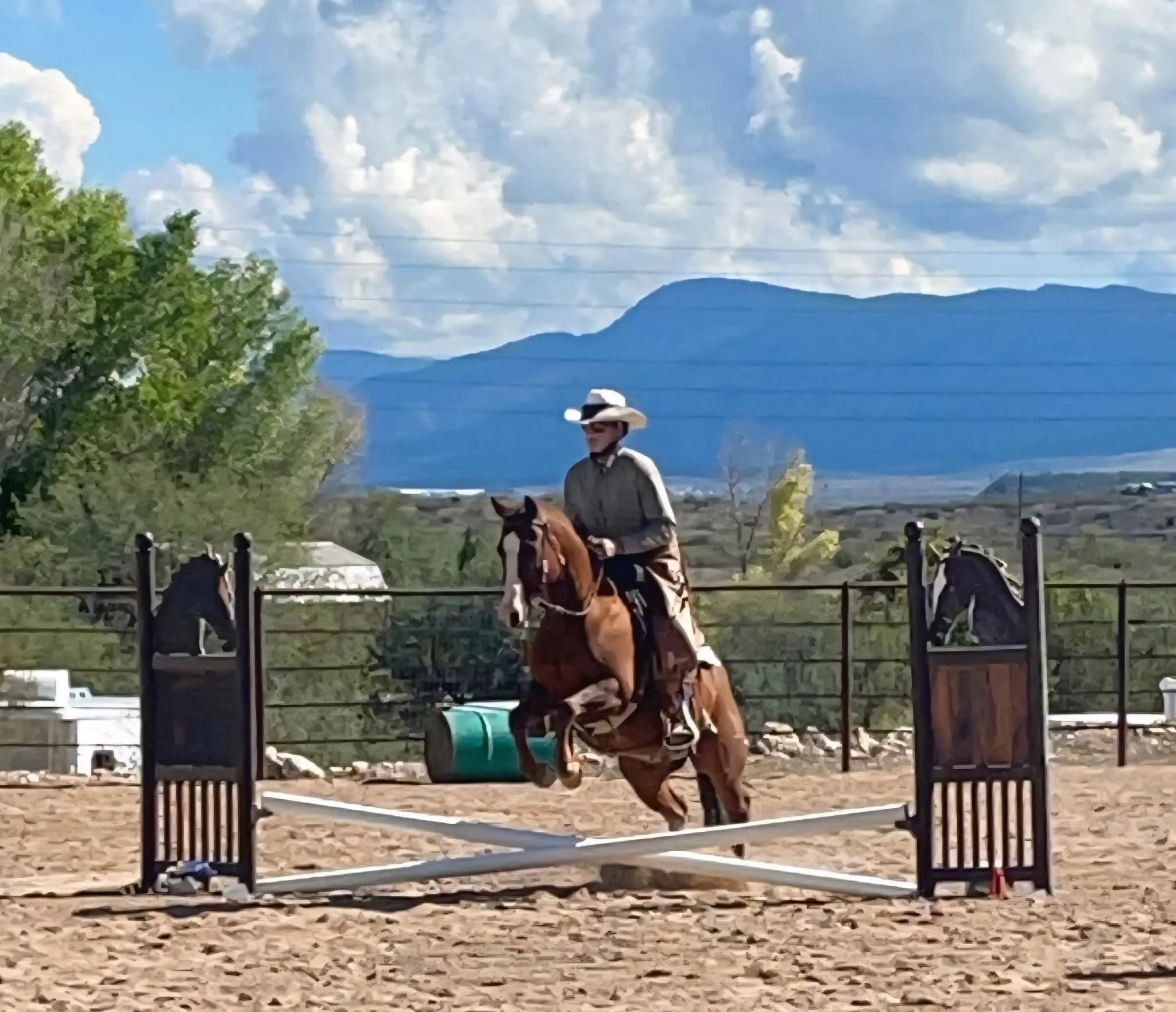 3-H Ranch Schooling Show Buckle Series #3