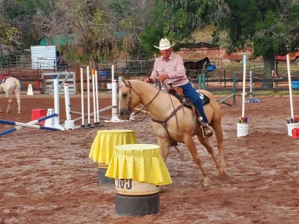 Turquoise Schooling Show