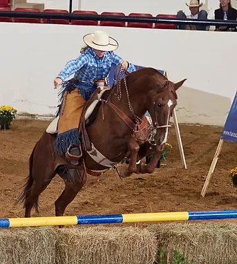 Sunshine Schooling Show Series #1