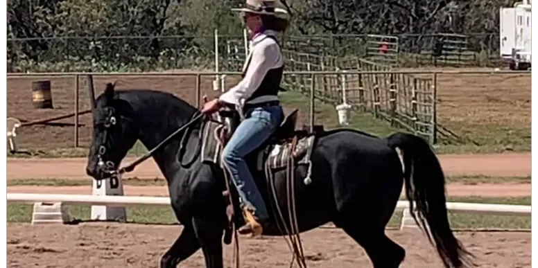 Person riding a black horse in an outdoor arena, wearing a cowboy hat, white shirt, and jeans.