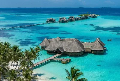Overwater bungalows on a turquoise sea with a clear blue sky, palm trees in the foreground, and a row of overwater villas connected by a walkway.