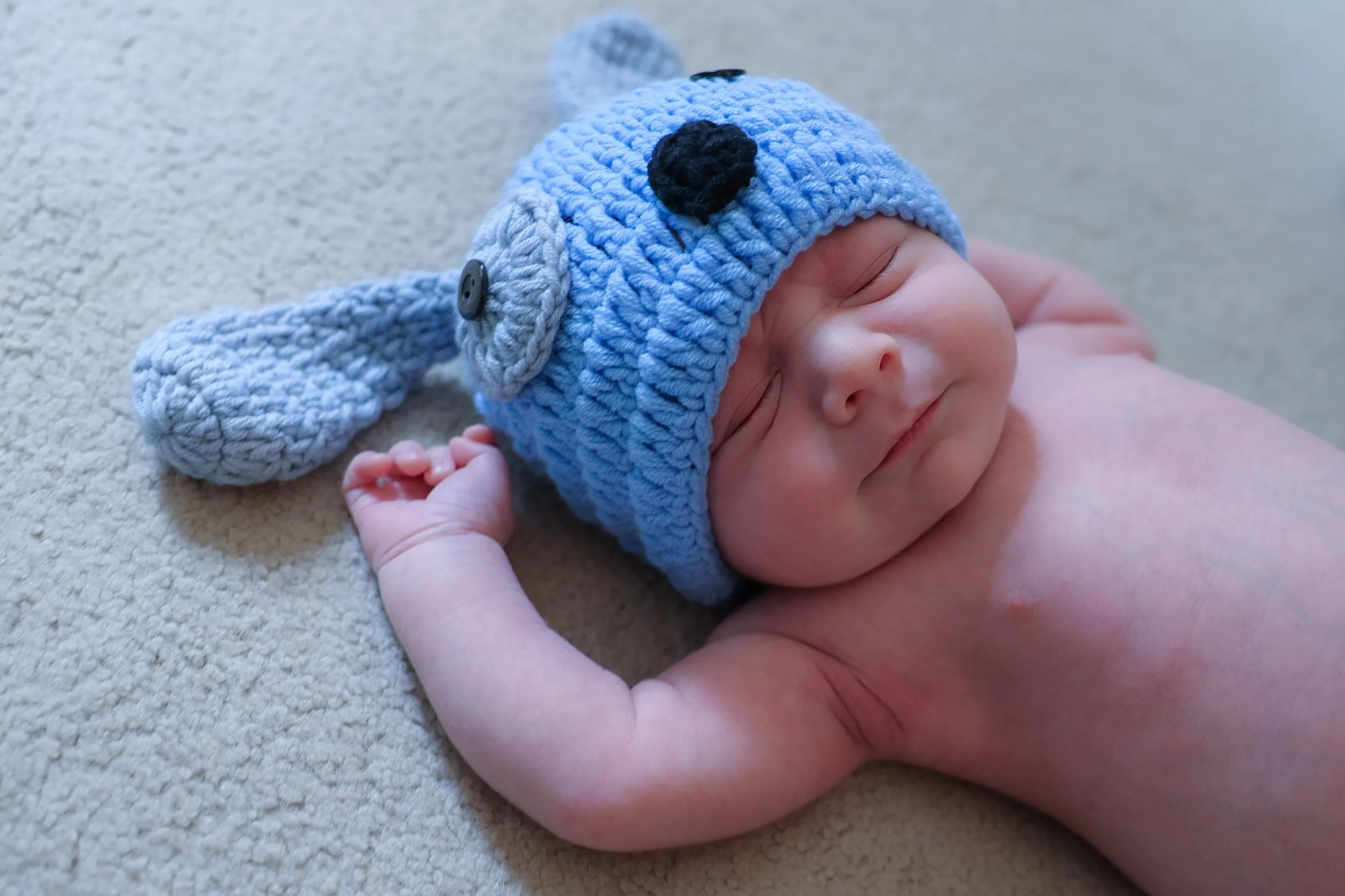 baby-joey-38.JPG
