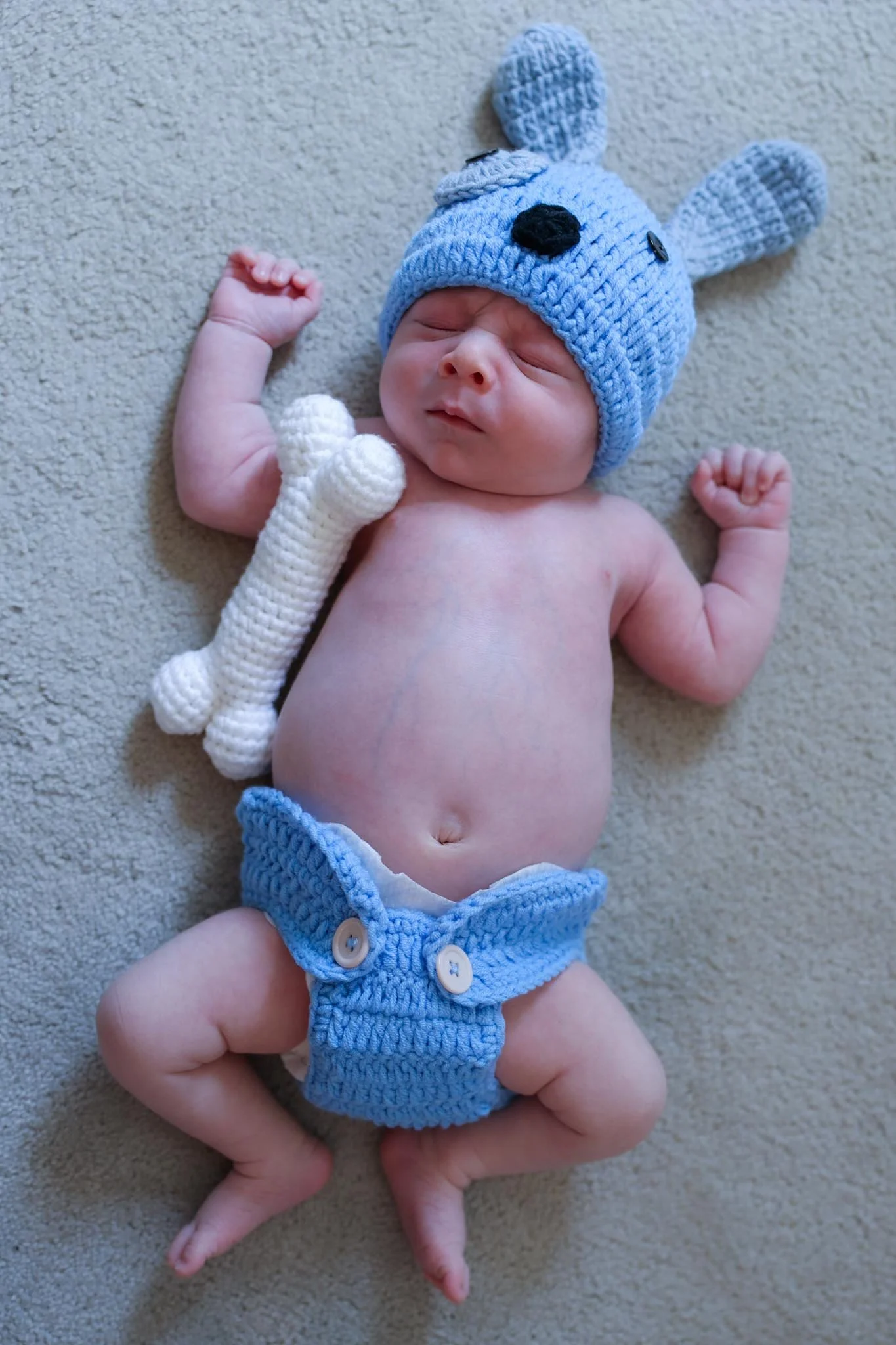 baby-joey-36.JPG