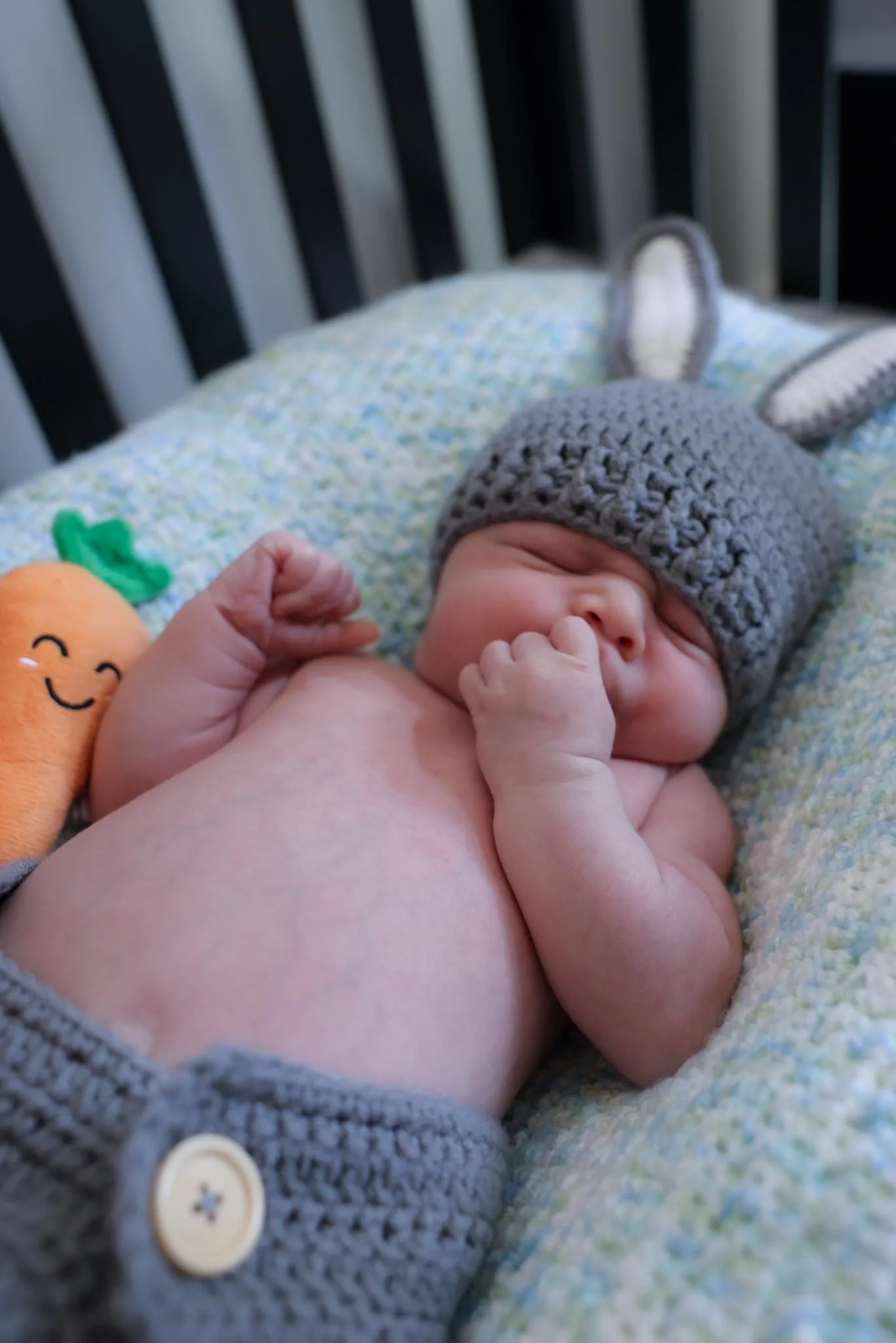 baby-joey-25.JPG