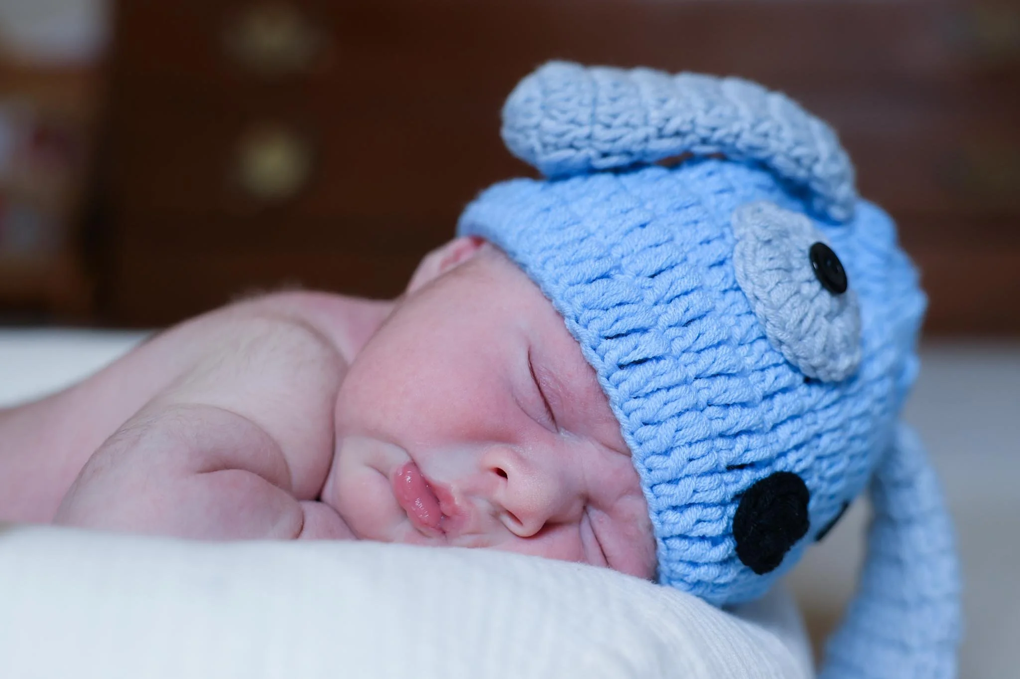 baby-joey-31.JPG