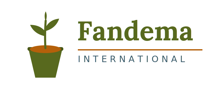 Fandema International