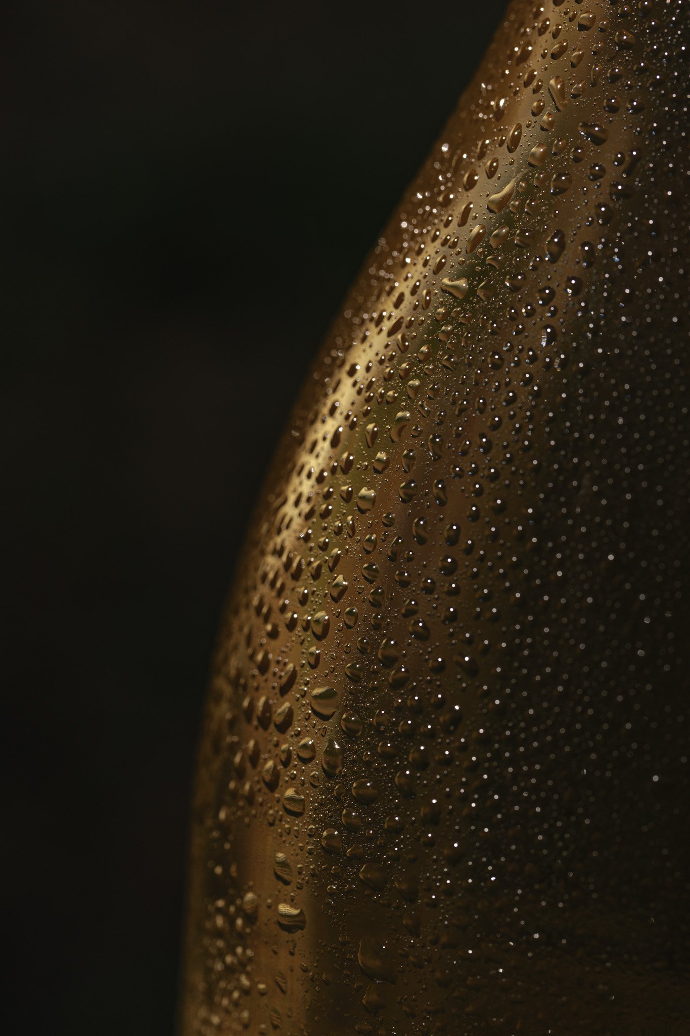 Photographie produit.JPG