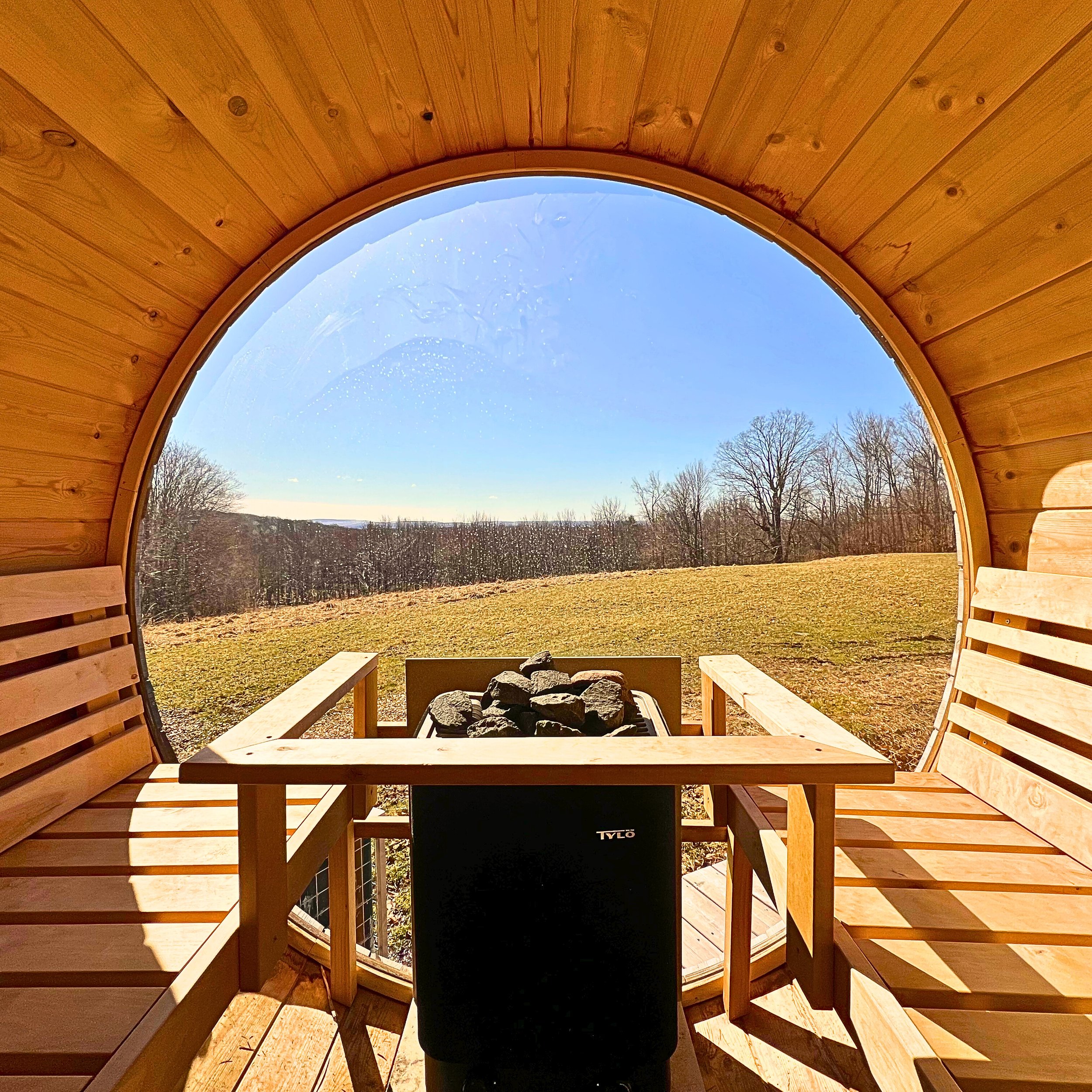 Looking out from the wooden interior of a dome-shaped structure at a clear blue sky with a few wispy clouds, leafless trees in the distance, and a flat landscape.