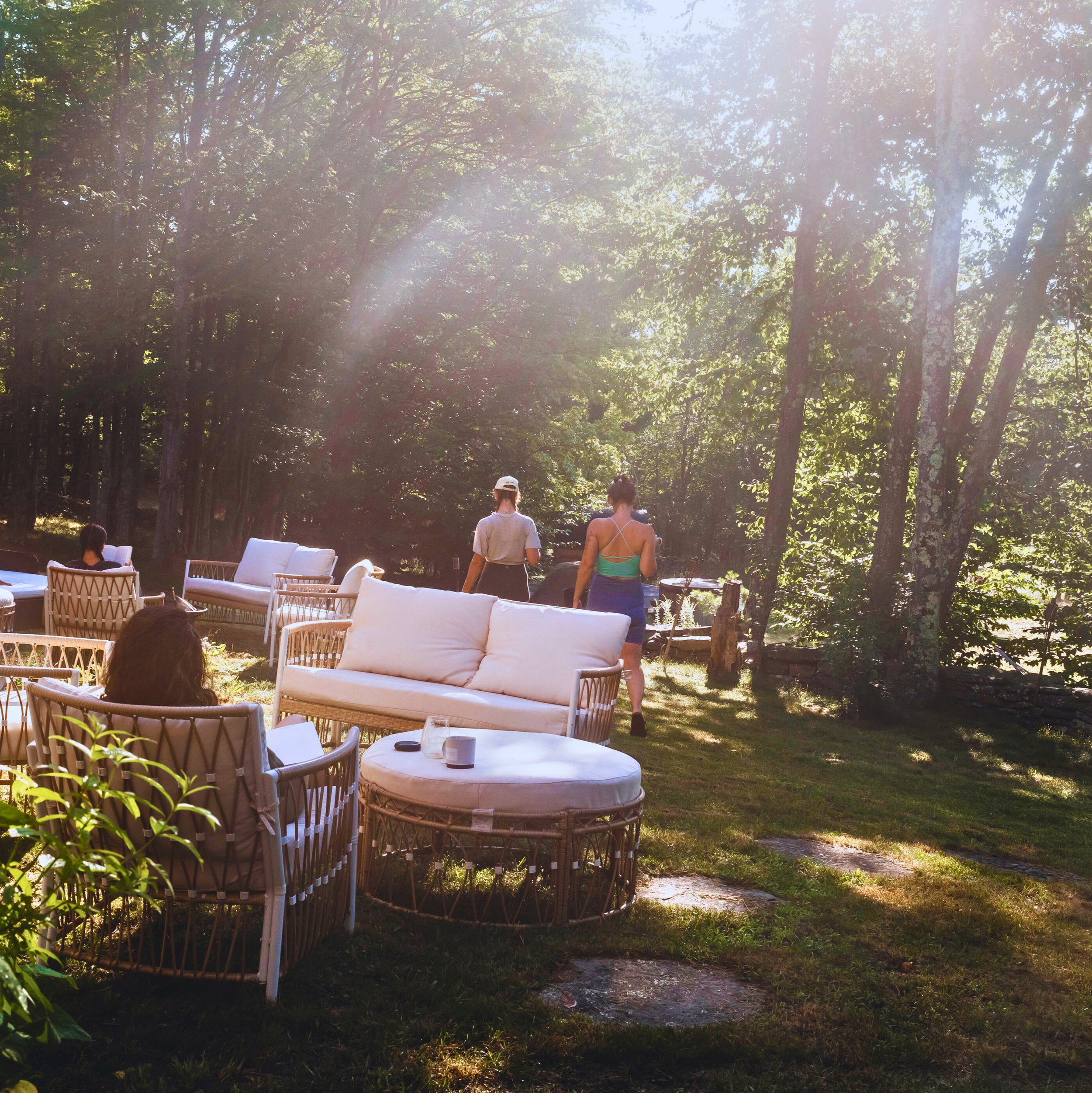 People outside on a sunny day, sitting on white chairs and standing on grass surrounded by tall trees with sunlight filtering through