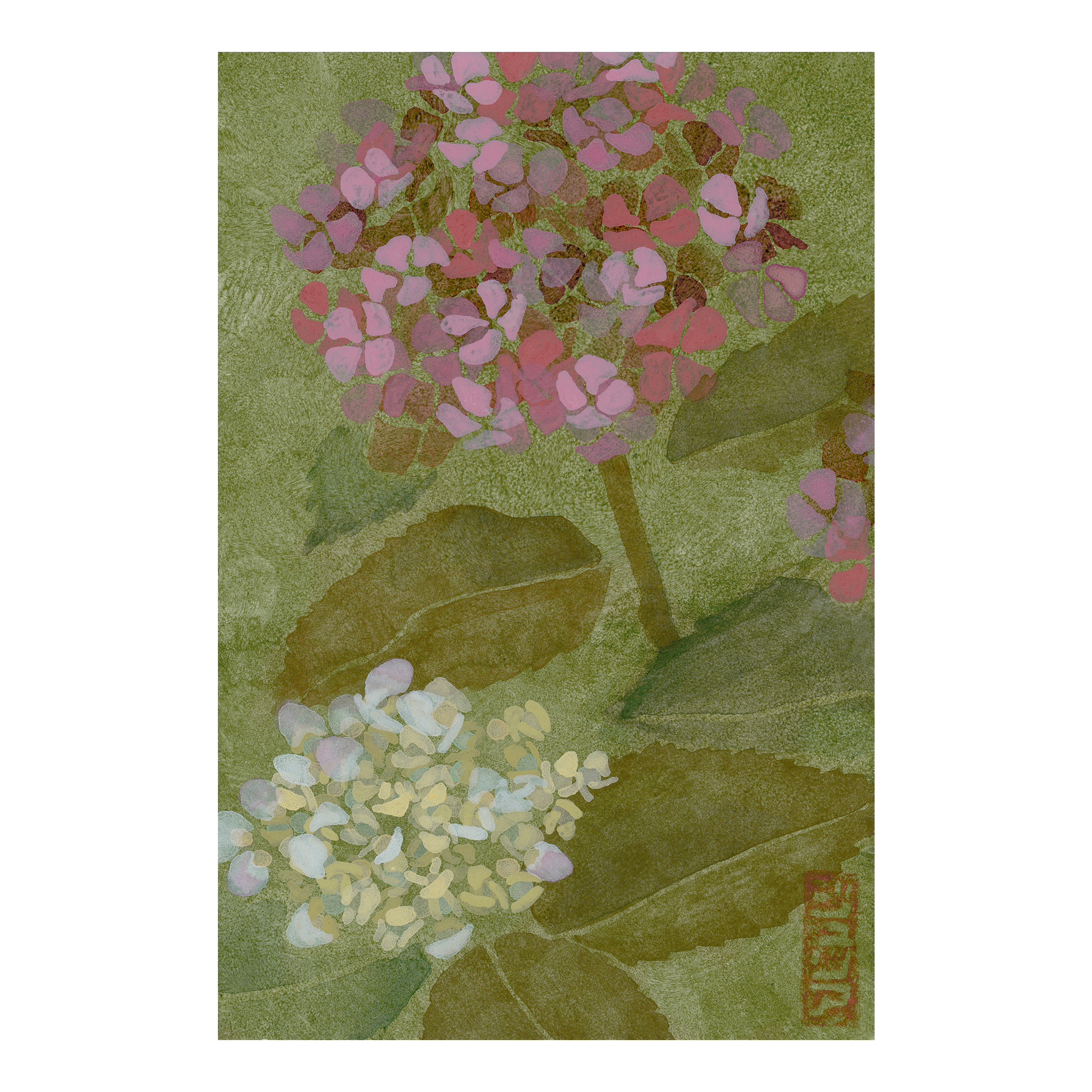 Hydrangea No. 6