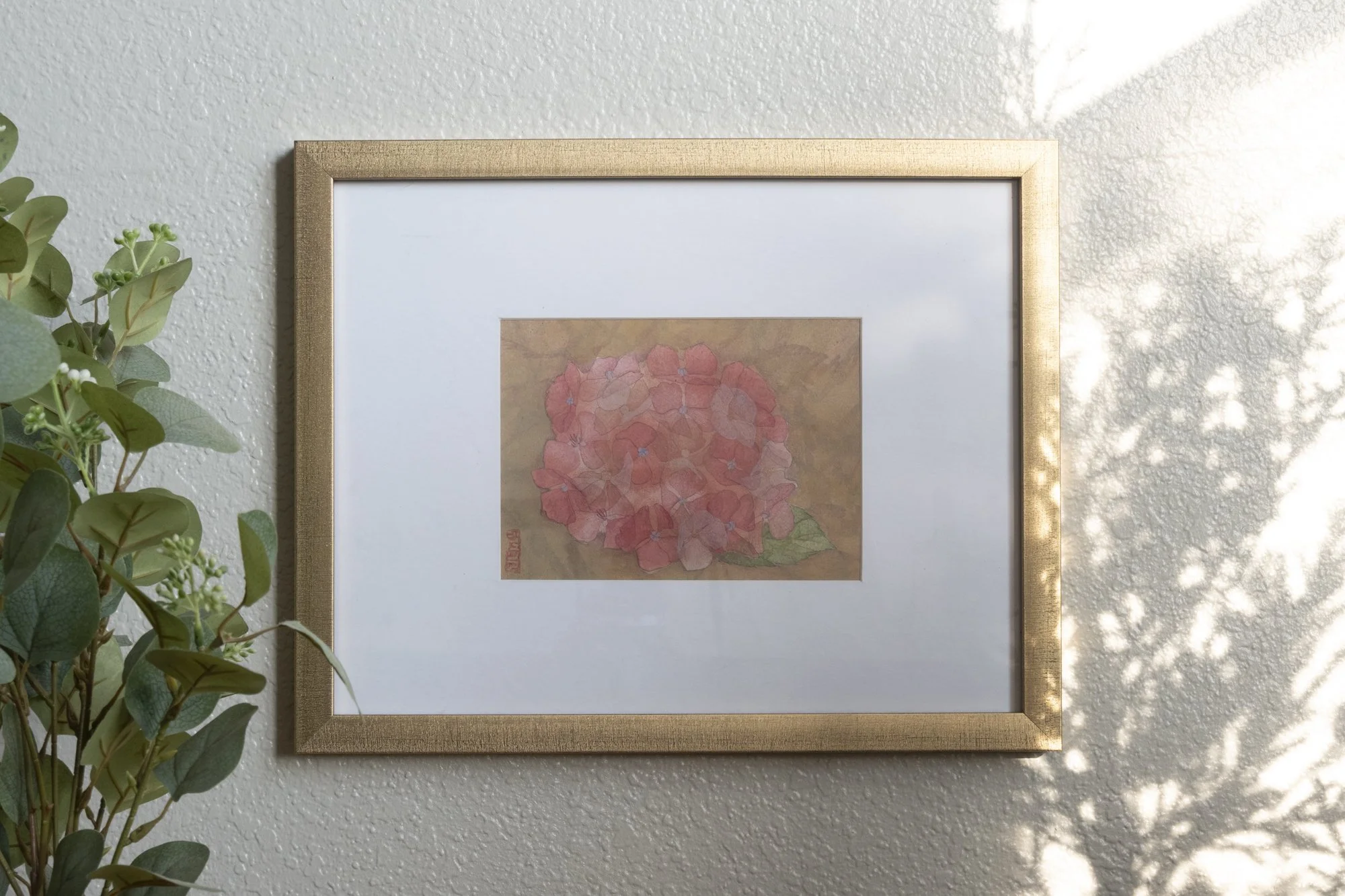 Hydrangea No.11