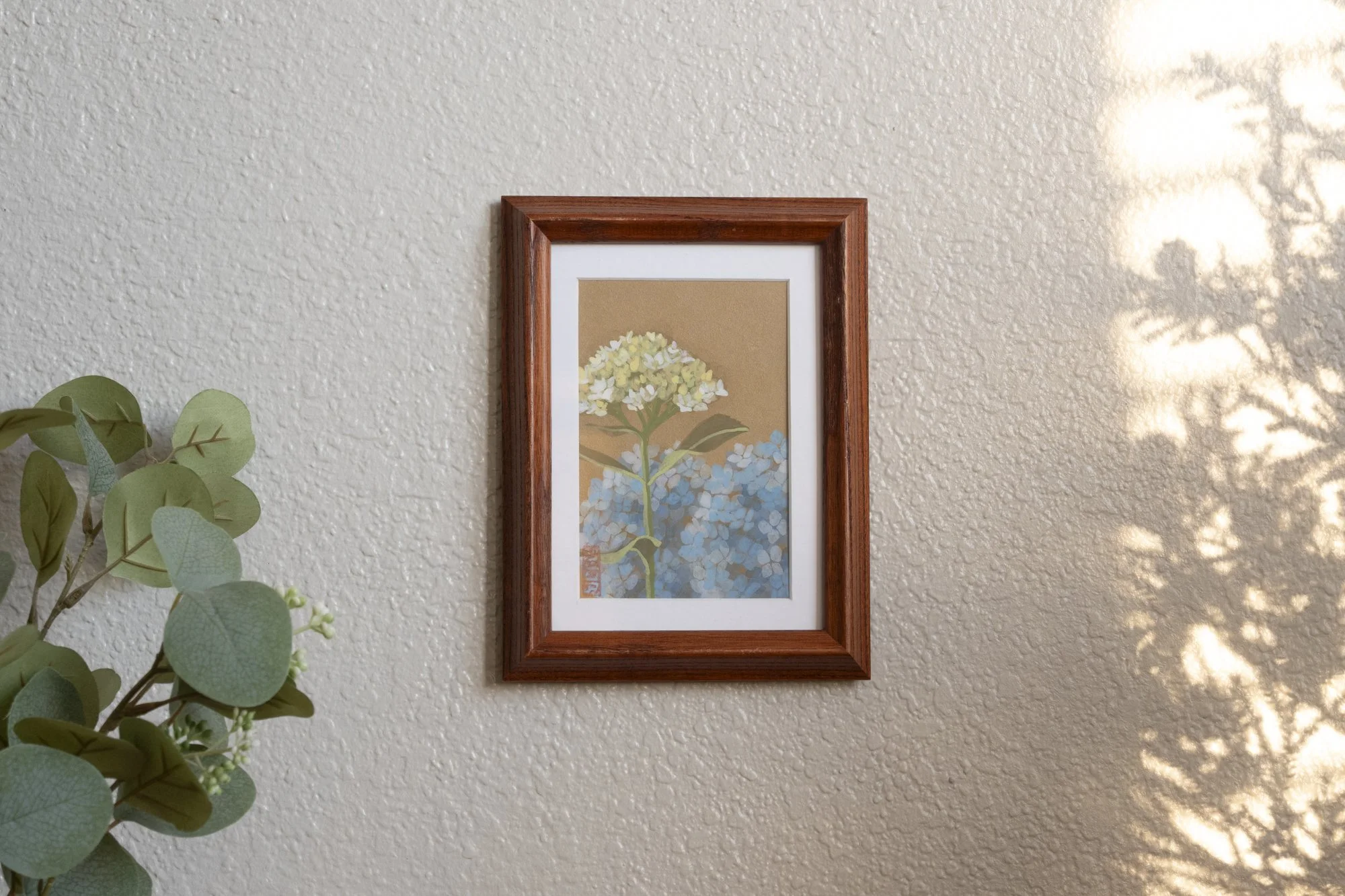 Hydrangea No.4