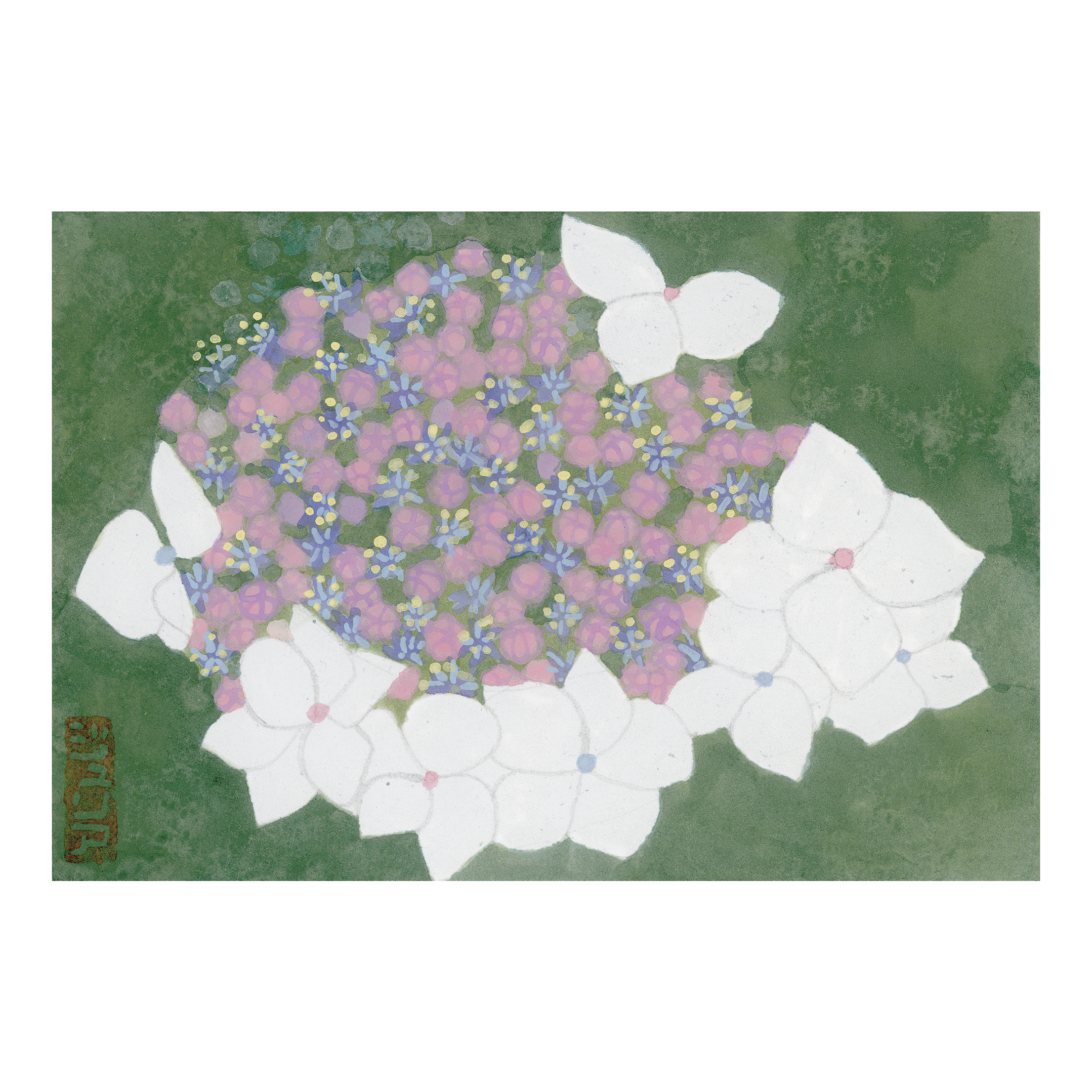 Hydrangea No.1