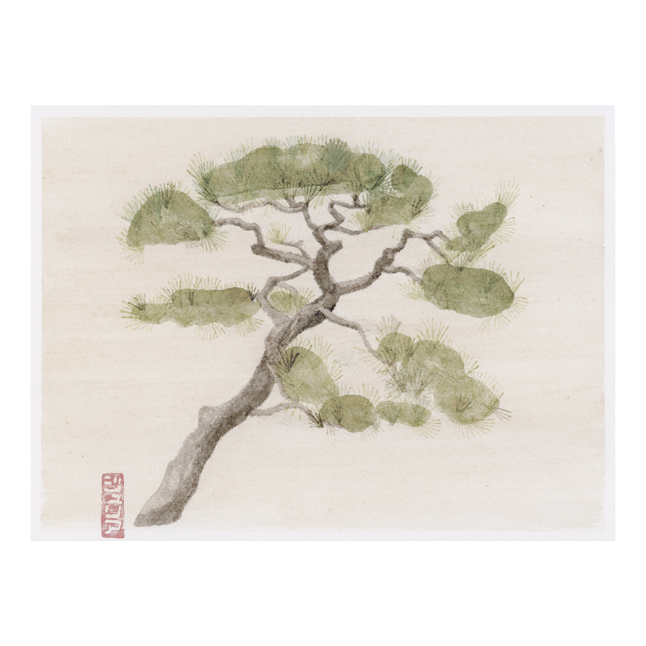 Pine Tree