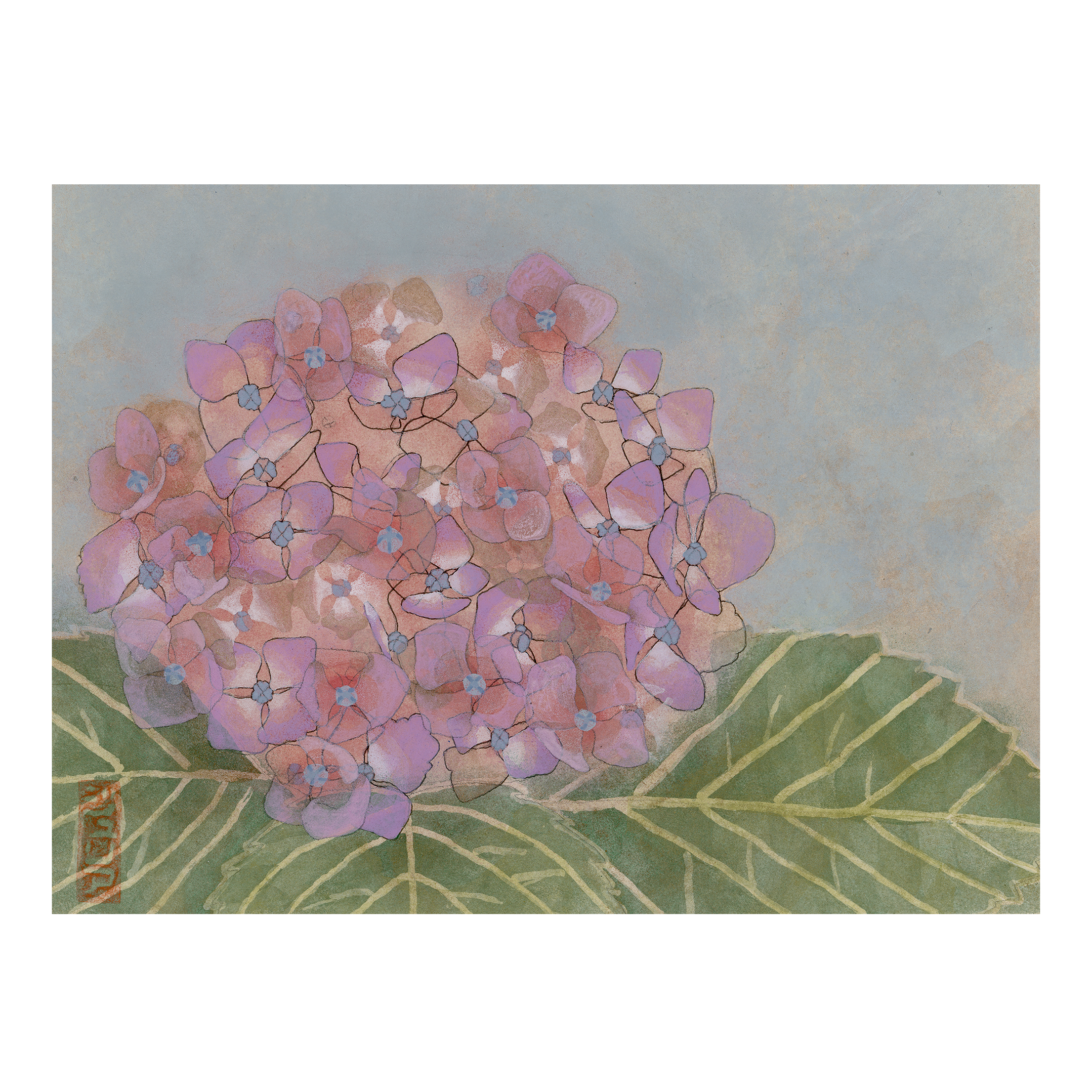 Hydrangea No. 10
