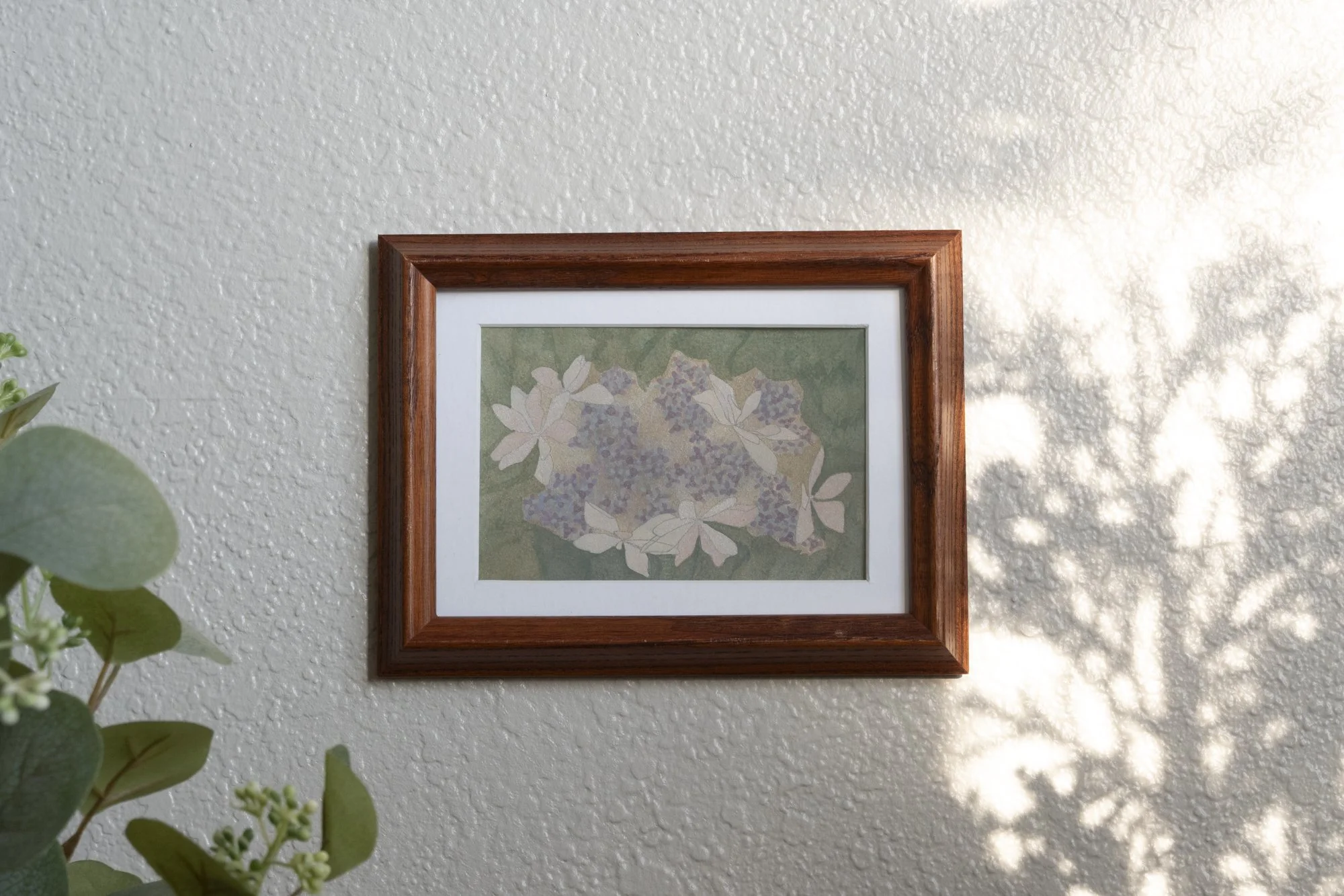 Hydrangea No.8