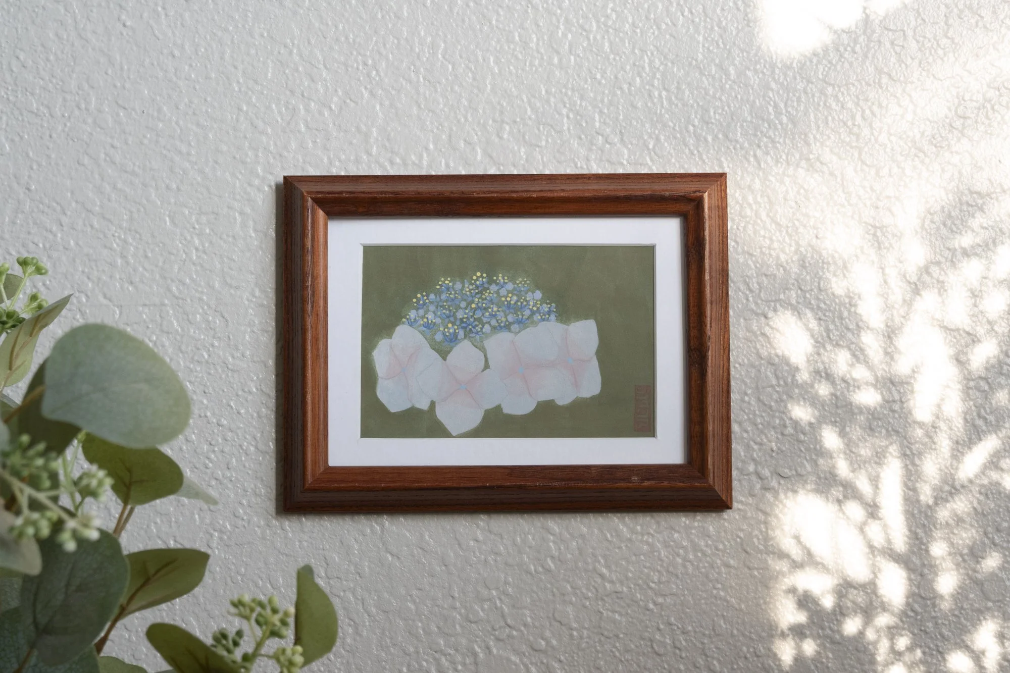 Hydrangea No.2