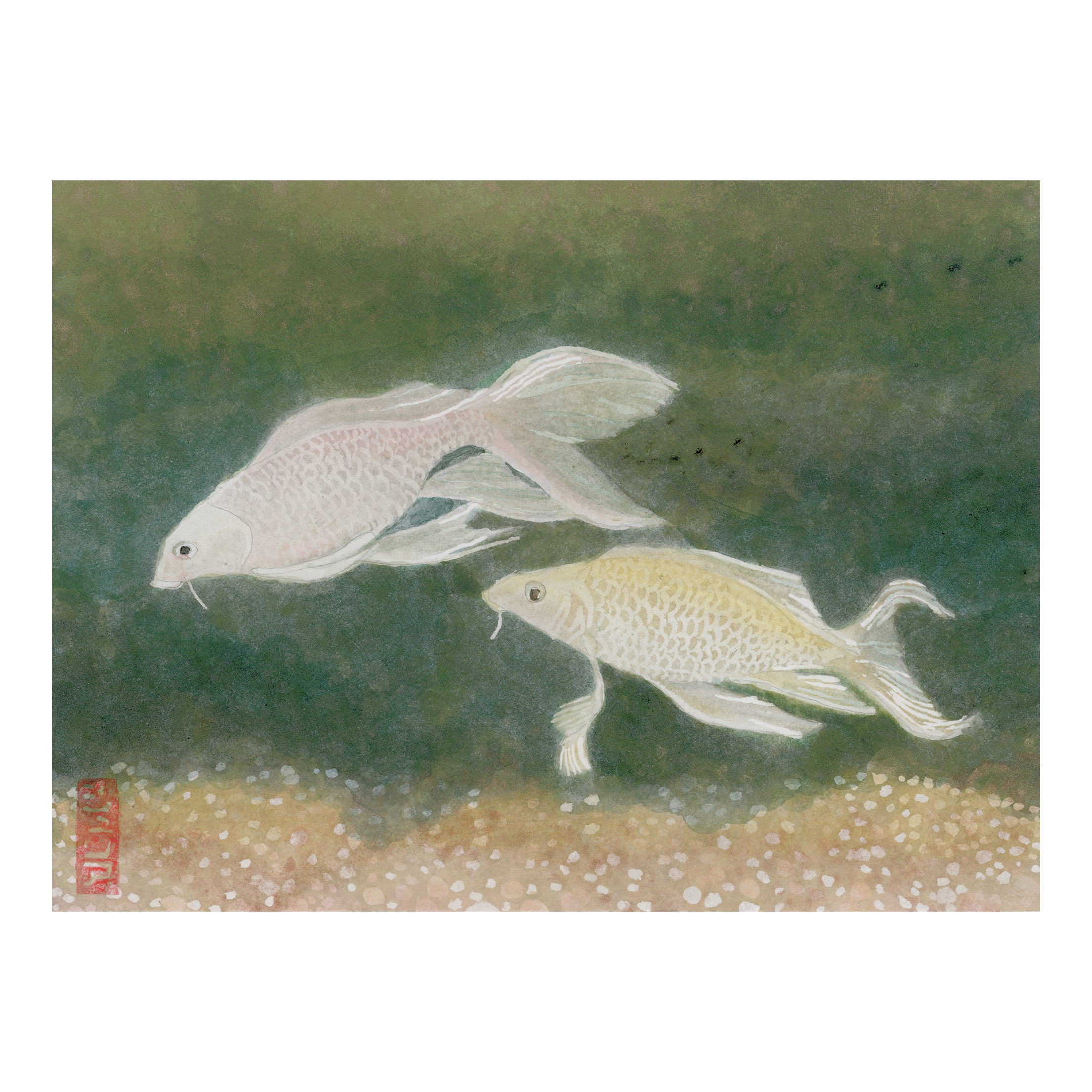 White Fish