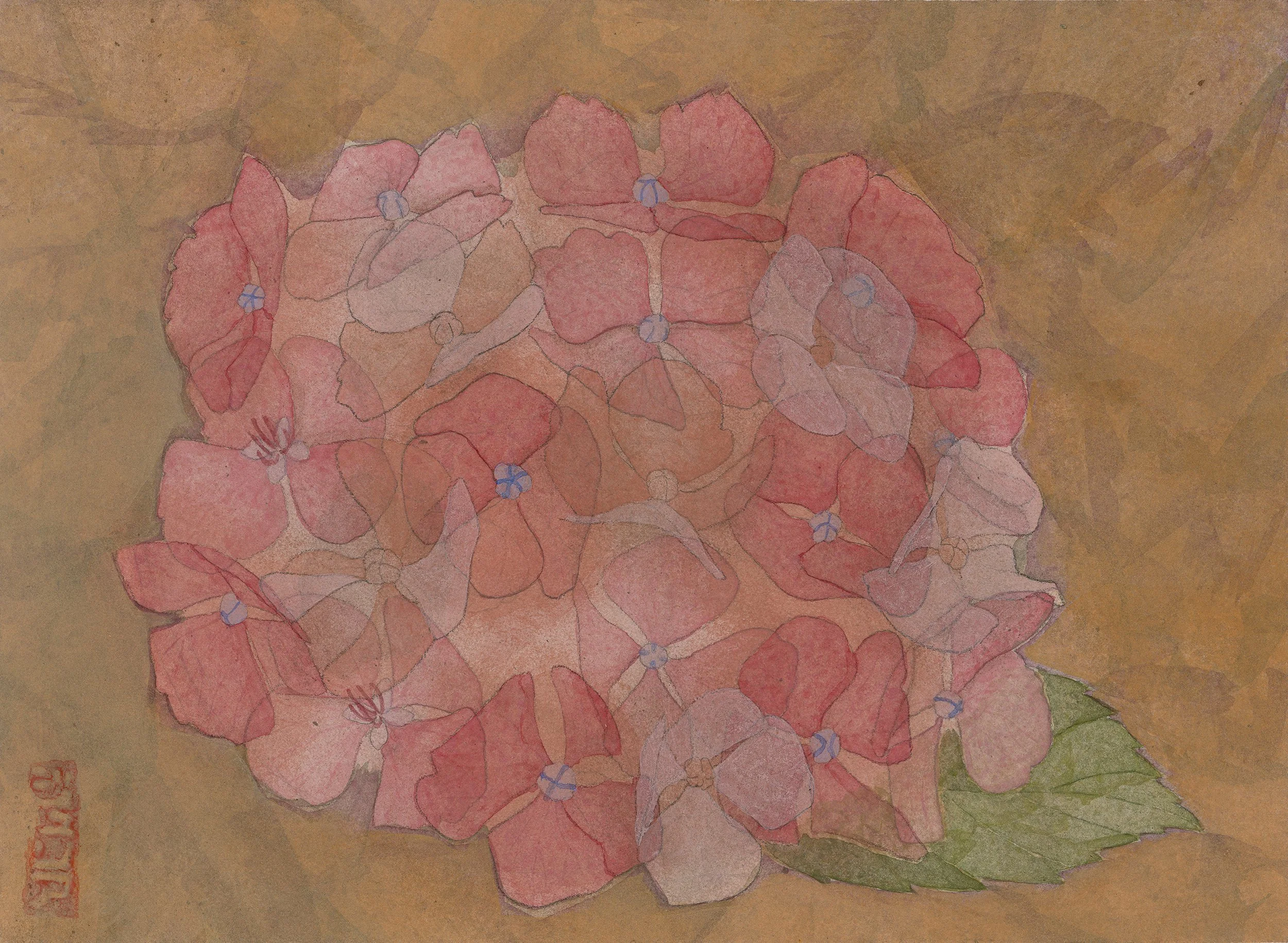 hydrangeaNo.11-scan.jpg