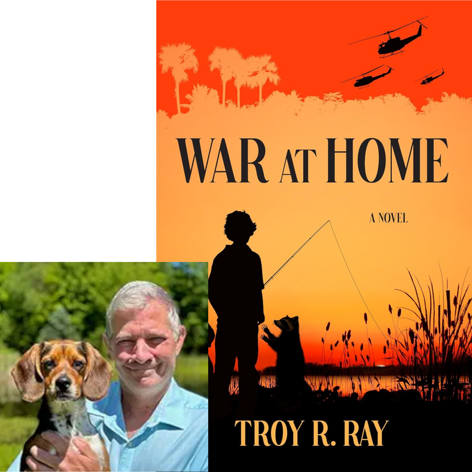  Troy Ray 
 War at Home 
 young adult 
 