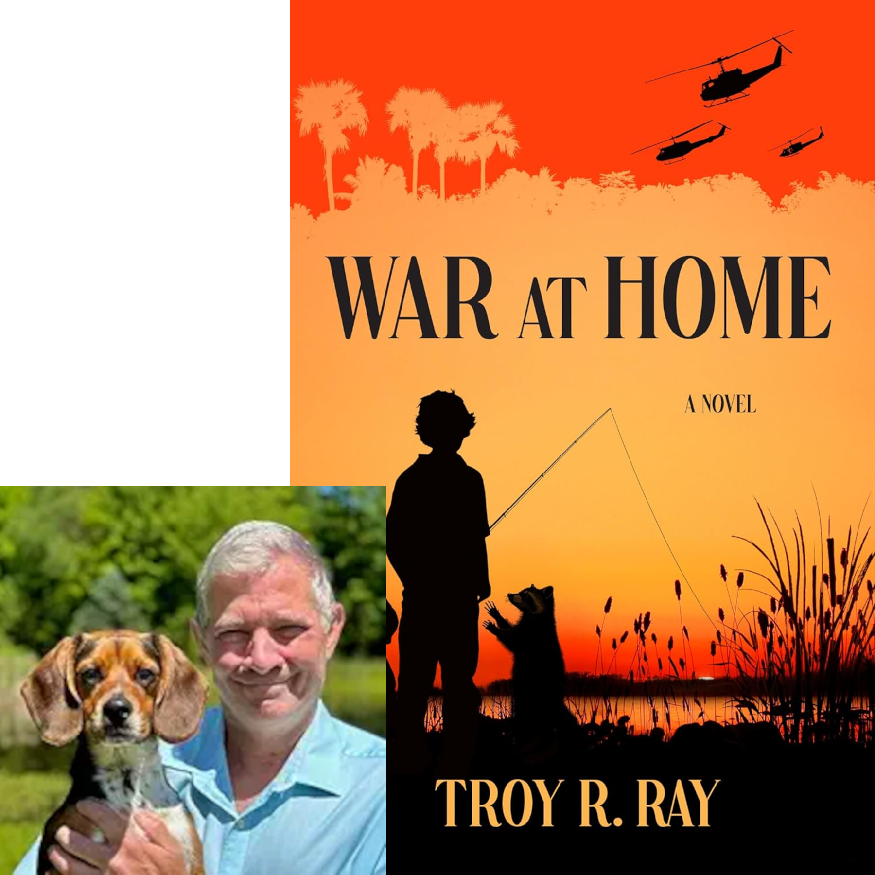  Troy Ray 
  War at Home  
 young adult 

