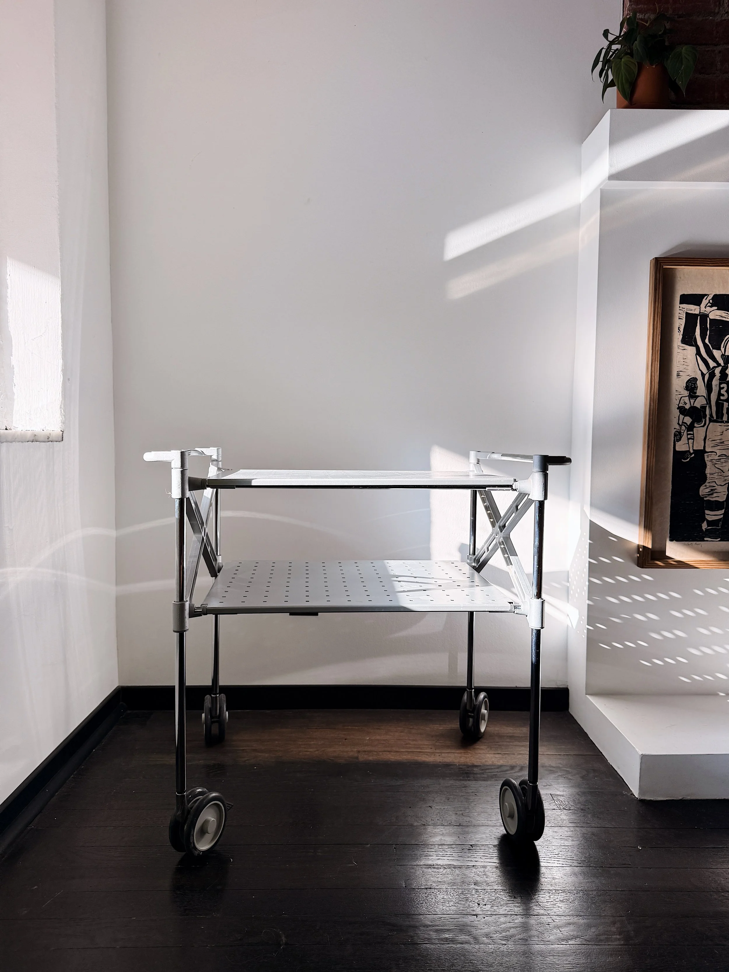 Empty medical or utility cart with wheels in a room with white walls, sunlight casting shadow patterns, a framed artwork on the wall, and a potted plant on a ledge.